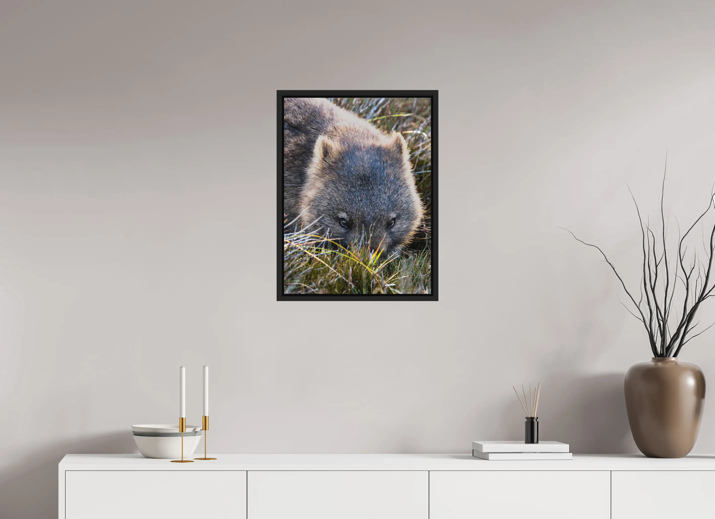 Fine art print “Conscious” featuring a close up of a wombat’s face grazing in soft morning light in Tasmania’s alpine grasslands, displayed in a floater frame in a modern living room setting.