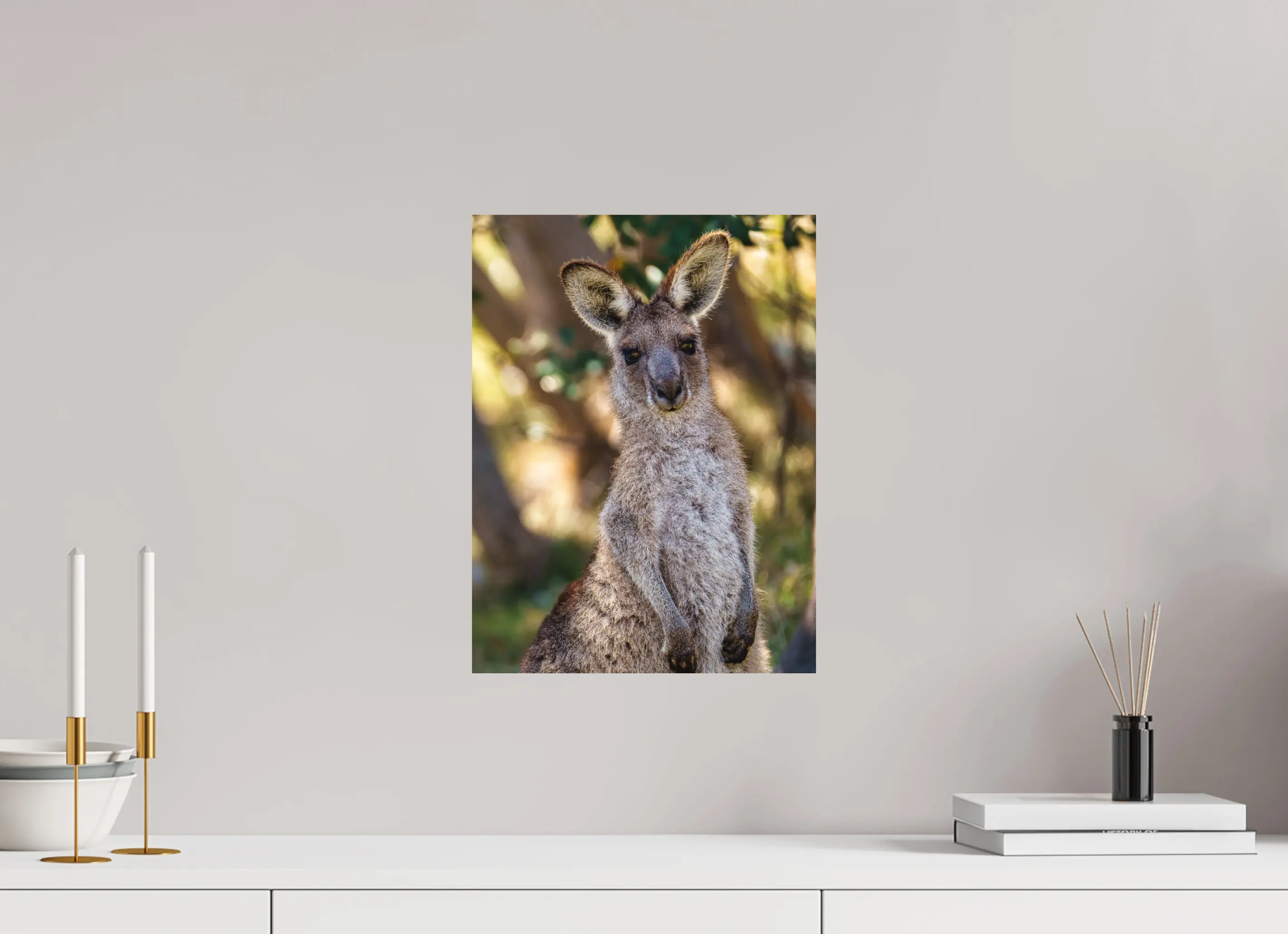 Fine art print “Curious Glance” featuring a wallaby standing alert in the Australian bush with warm sunlight filtering through the trees, displayed on aluminium dibond in a modern living room setting.