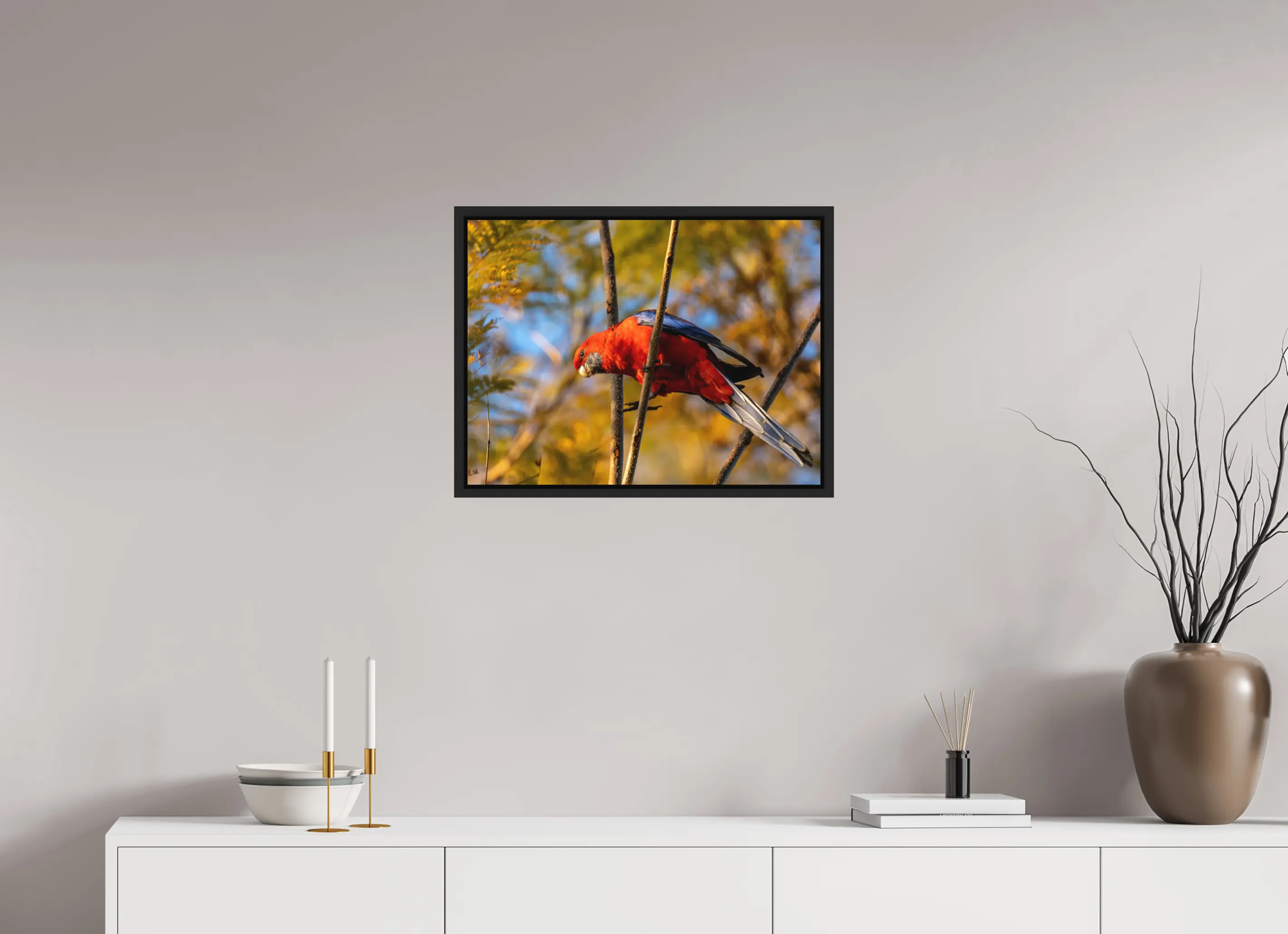 Fine art print “Fire Among the Branches” featuring a crimson rosella perched on a tree branch in Australia glowing red against soft golden foliage, displayed in a floater frame in a modern living room setting.