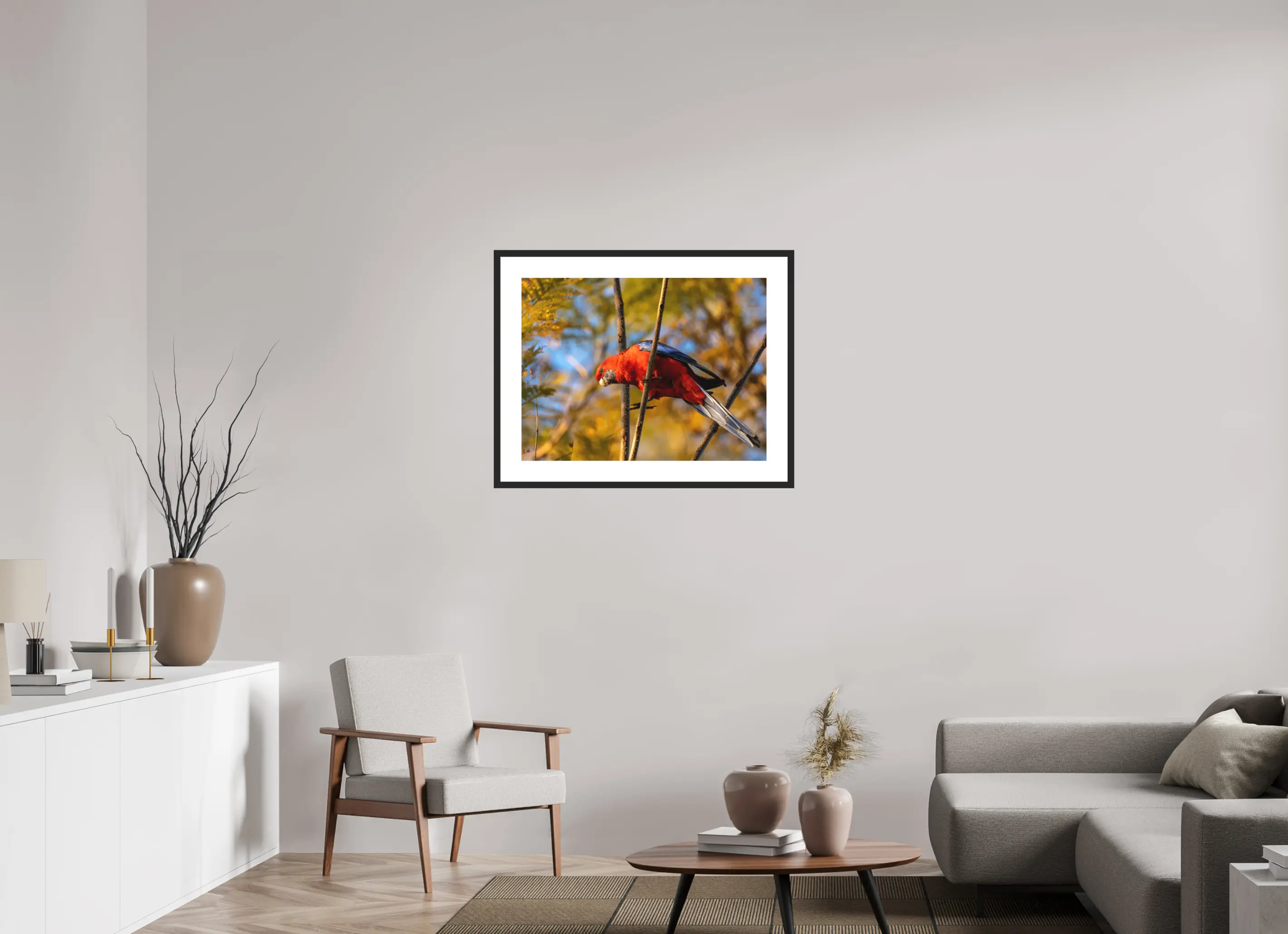Fine art print “Fire Among the Branches” featuring a crimson rosella perched on a tree branch in Australia glowing red against soft golden foliage, displayed in a passepartout frame in a modern living room setting.