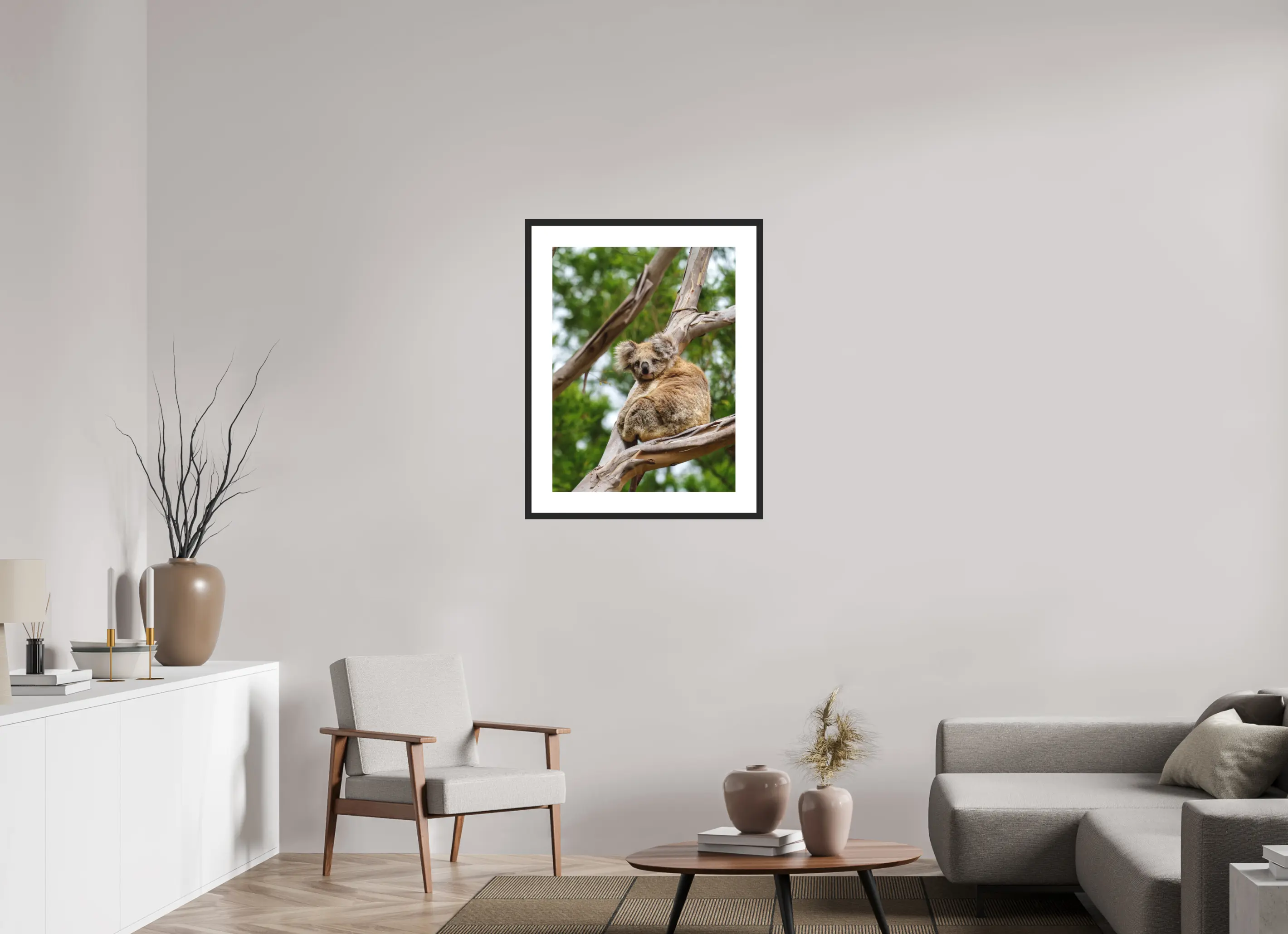 Fine art print “Gentle Dreamer” featuring a koala resting curled up in the branches of a eucalyptus tree, displayed in a passepartout frame in a modern living room setting.