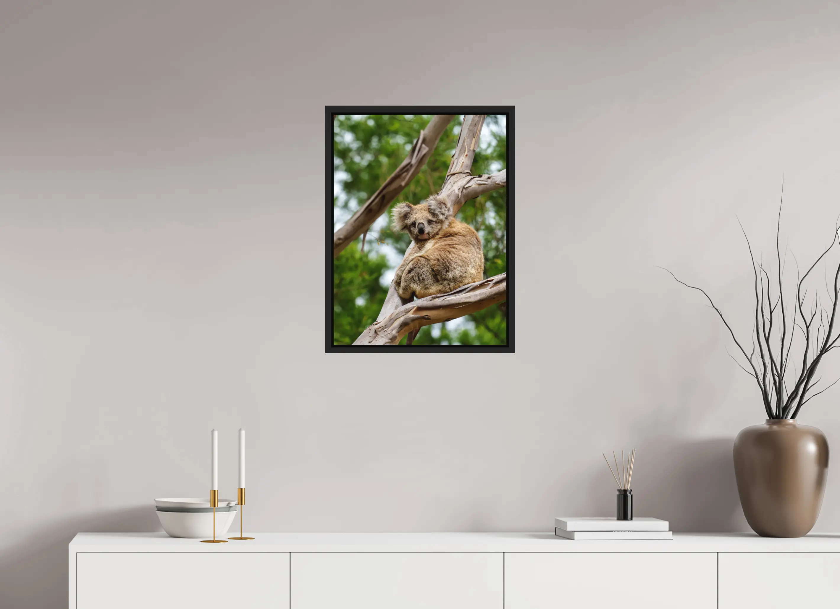 Fine art print “Gentle Dreamer” featuring a koala resting curled up in the branches of a eucalyptus tree, displayed in a floater frame in a modern living room setting.