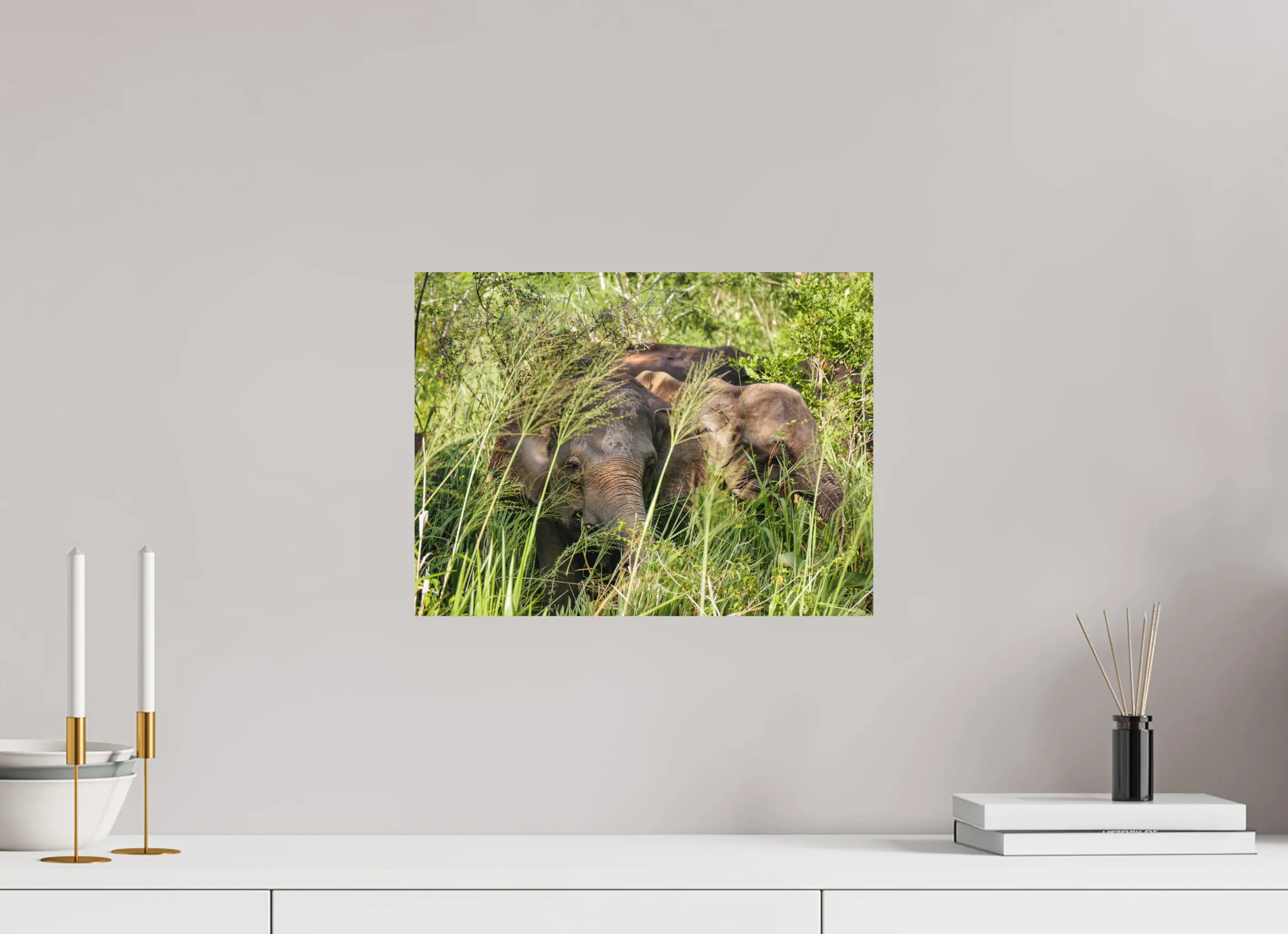 Fine art print “Gentle Giants” featuring wild asian elephants in the forests of Sri Lanka, displayed on aluminium dibond in a modern living room setting.