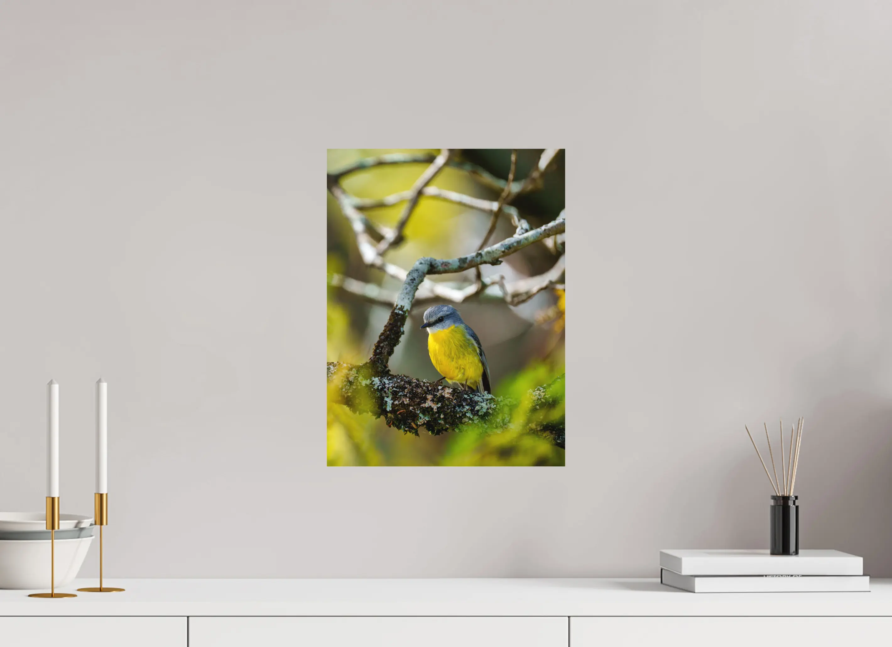 Fine art print “Glimpse of Gold” featuring a eastern yellow robin surrounded by soft green and golden light, displayed on aluminium dibond in a modern living room setting.