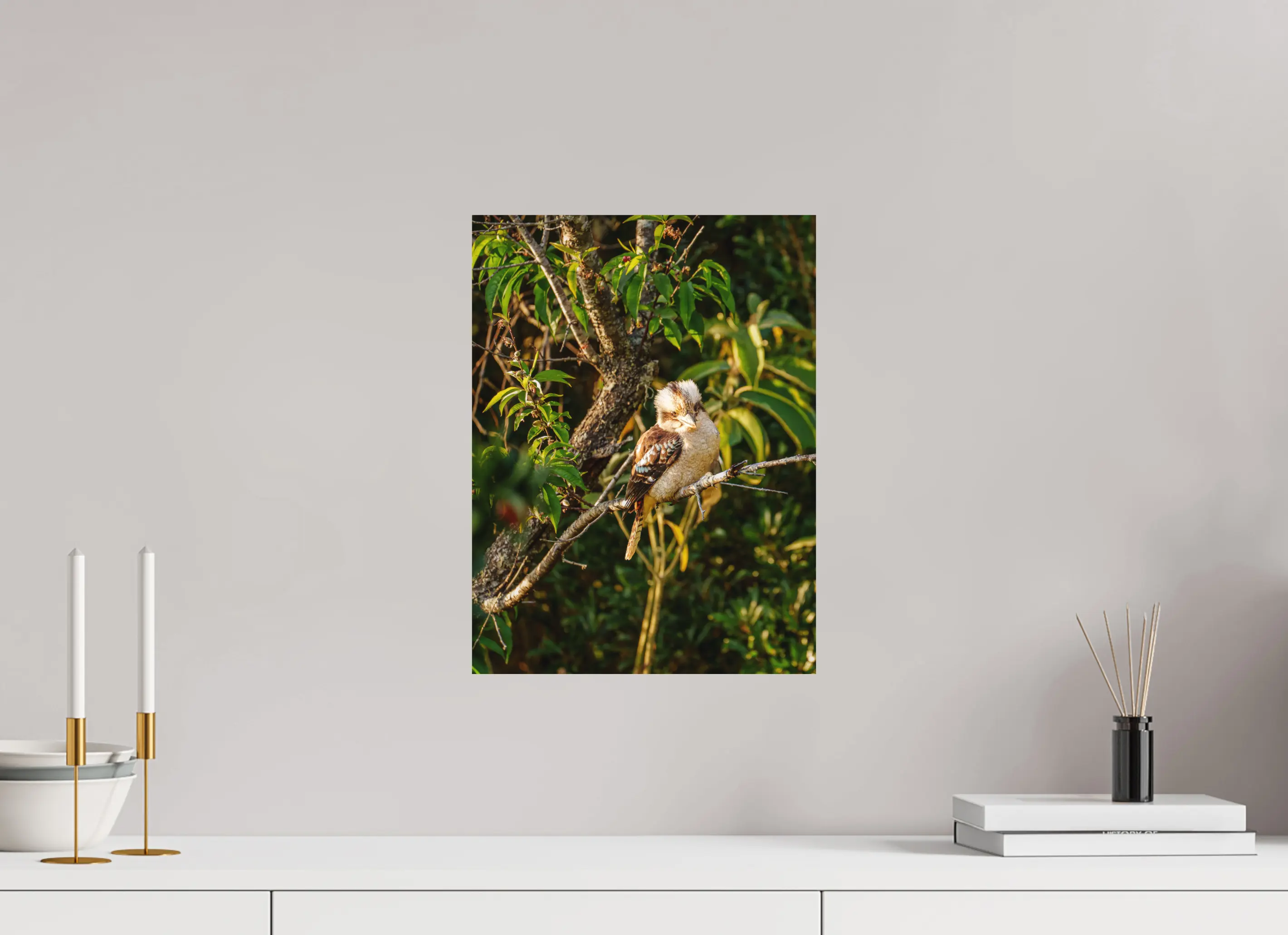 Fine art print “Laughter of the Forest” featuring a laughing kookaburra surrounded by green foliage in warm afternoon light, displayed on aluminium dibond in a modern living room setting.