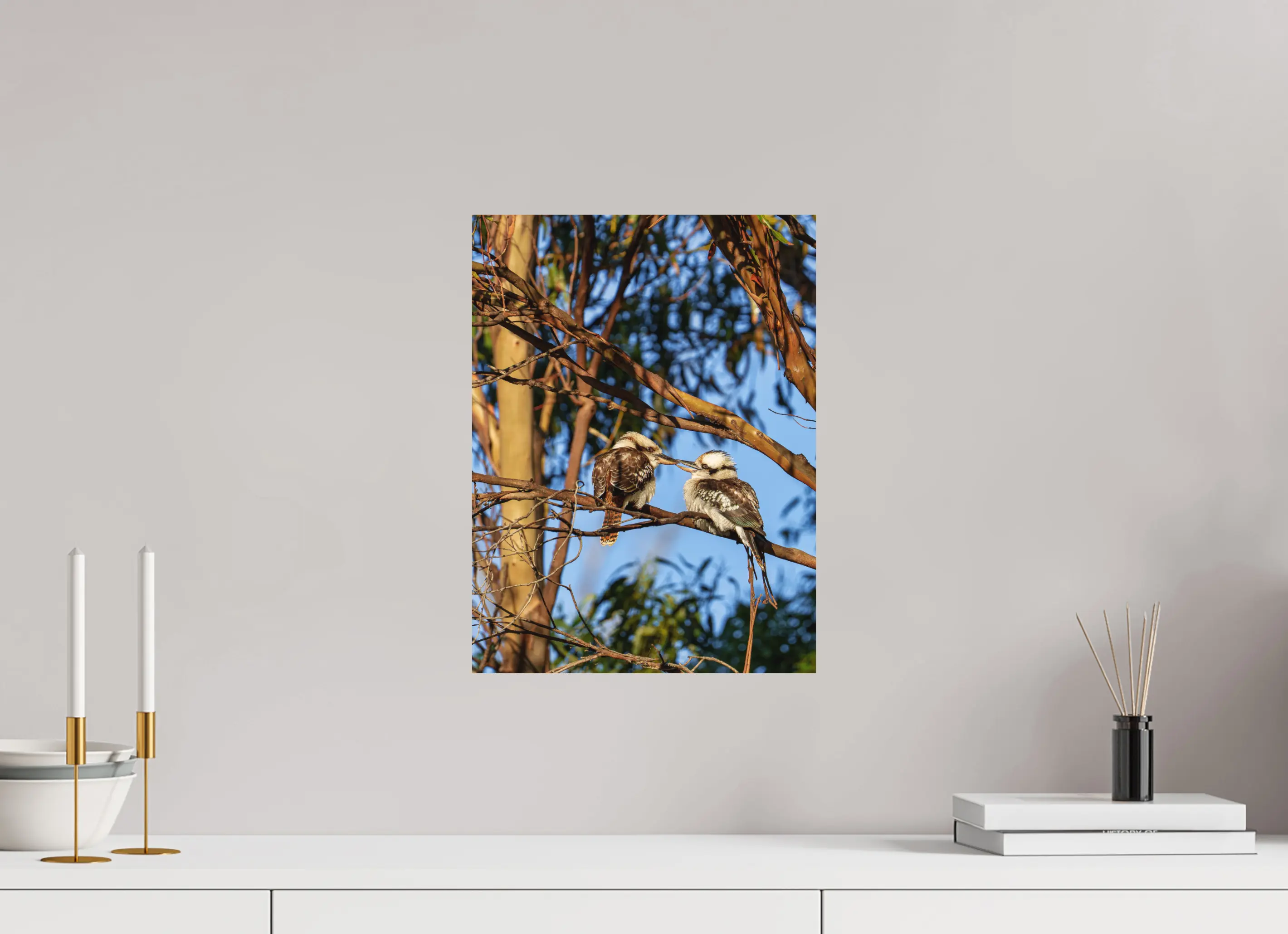 Fine art print “Loving Kookaburras” featuring two kookaburras on a eucalyptus branch sharing a tender moment, displayed on aluminium dibond in a modern living room setting.