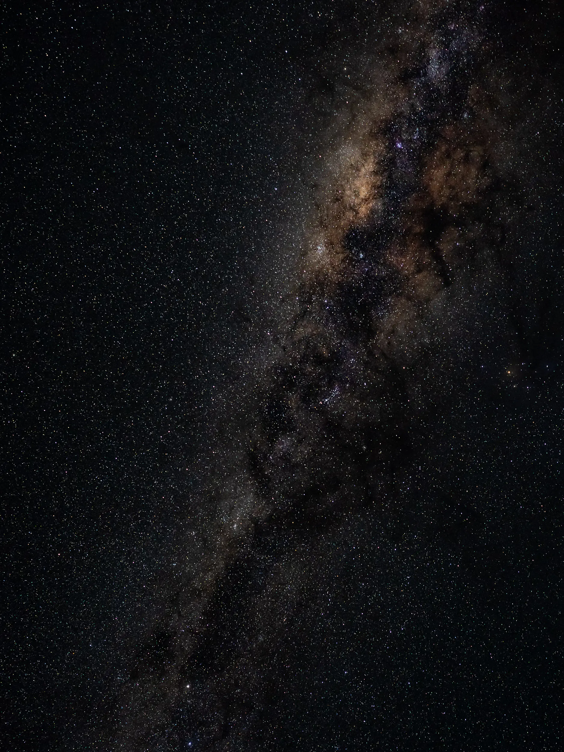 Milky Way stretching across the night sky filled with countless stars over the Australian wilderness.