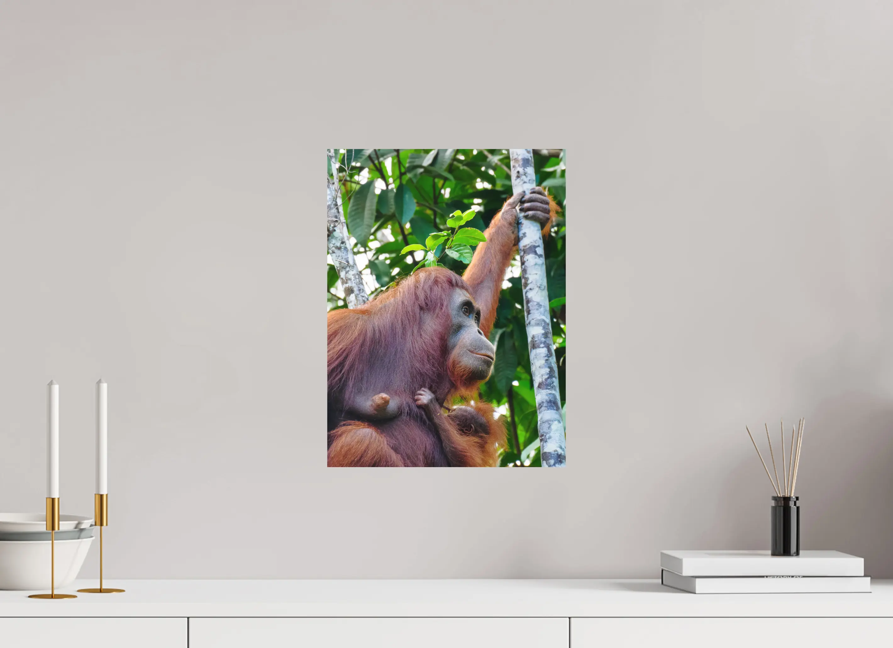 Fine art print “Motherhood” featuring a orangutan holding her baby in the tropical rainforest canopy of Borneo, displayed on aluminium dibond in a modern living room setting.