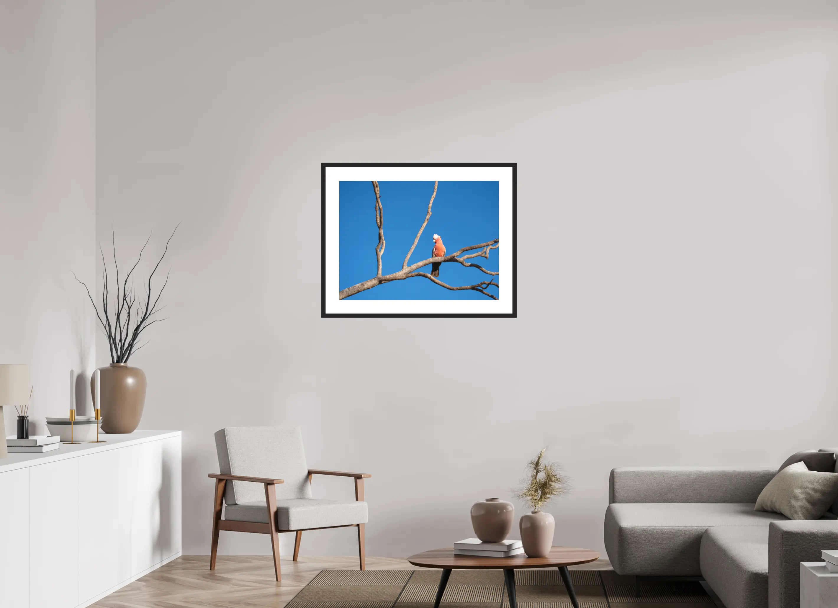 Fine art print “Pause” featuring a Galah perched on a bare tree branch under a clear blue Australian sky displayed in a passepartout frame in a modern living room setting.