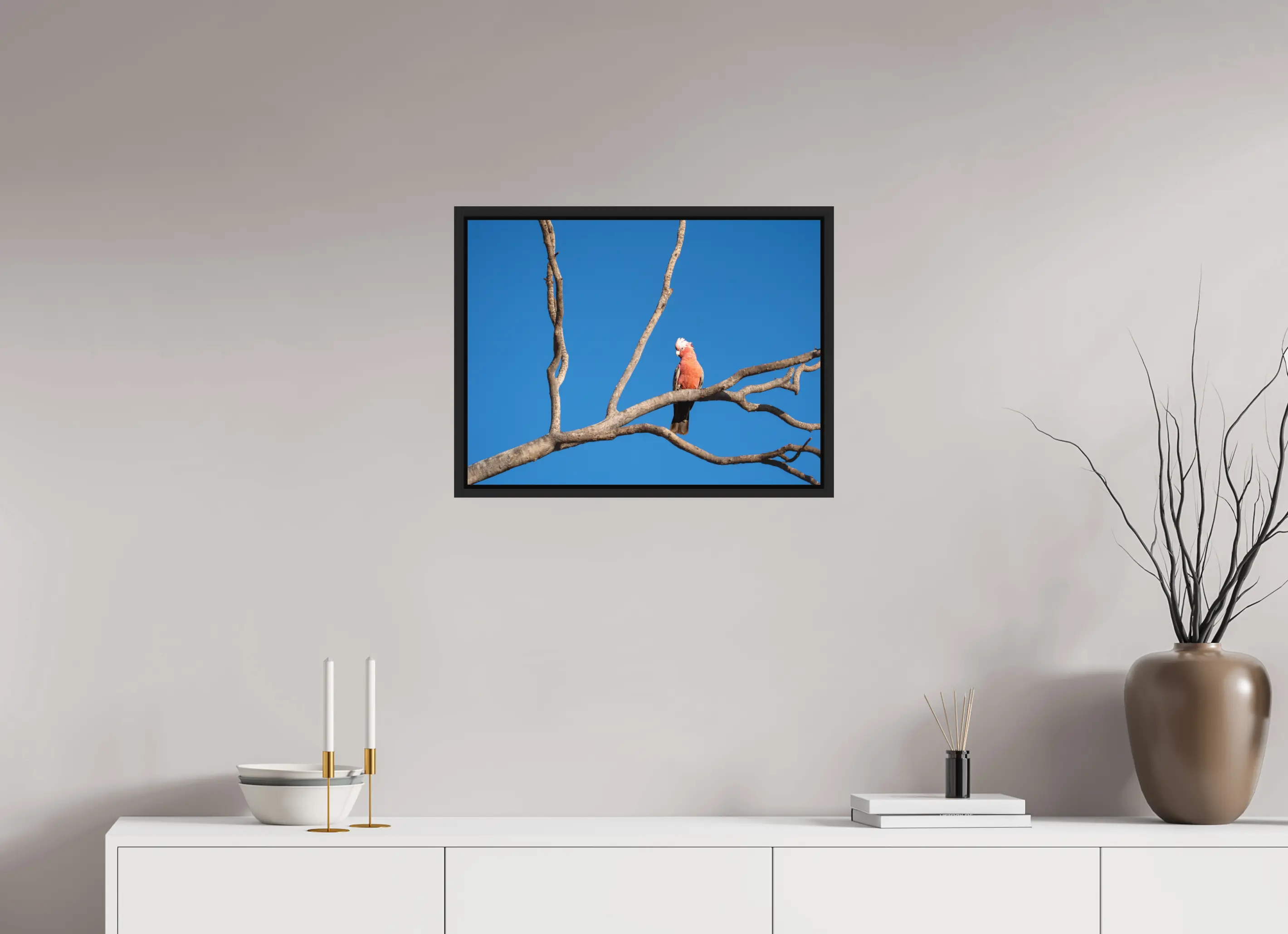 Fine art print “Pause” featuring a Galah perched on a bare tree branch under a clear blue Australian sky, displayed in a floater frame in a modern living room setting.