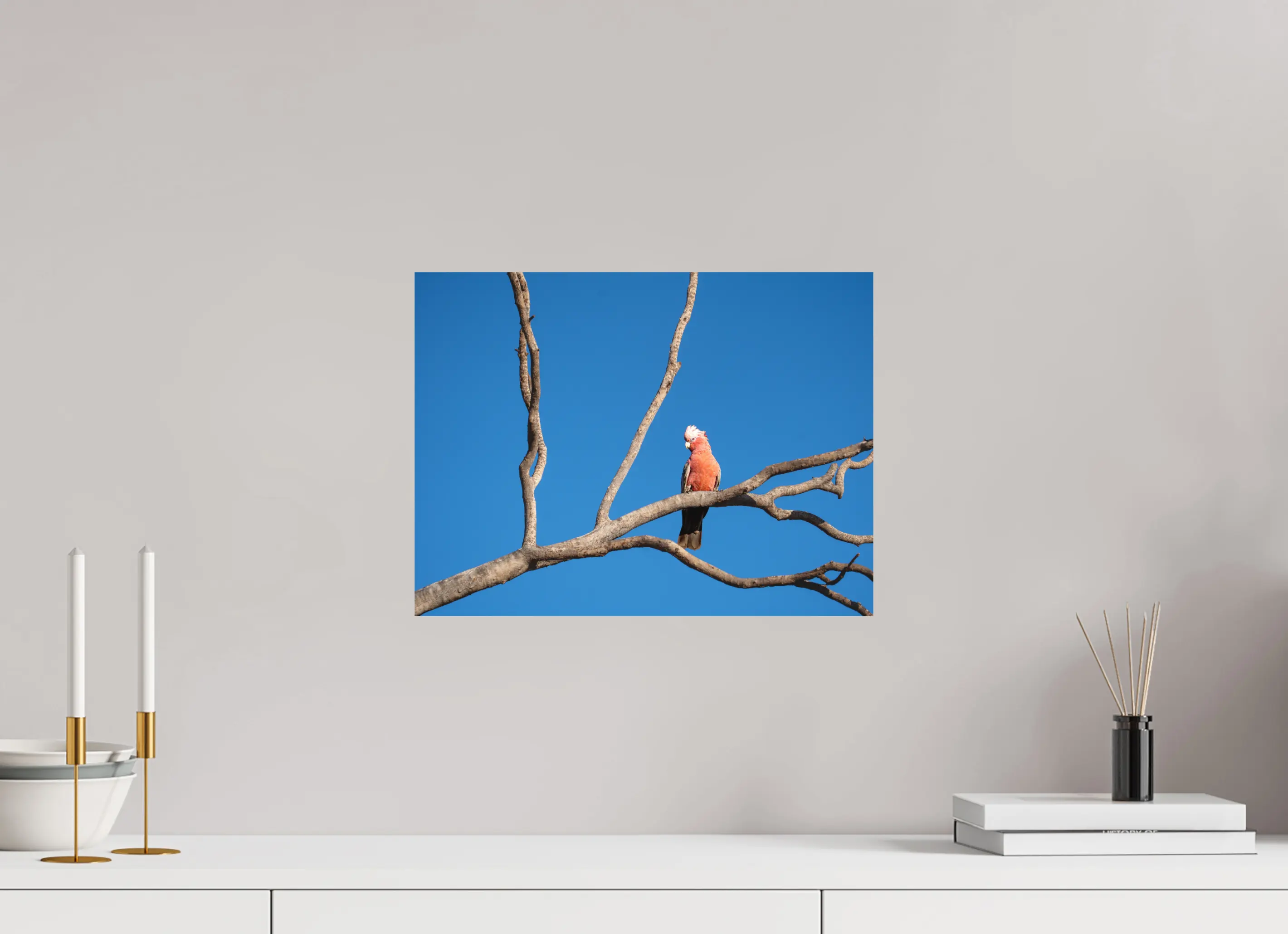 Fine art print “Pause” featuring a Galah perched on a bare tree branch under a clear blue Australian sky, displayed on aluminium dibond in a modern living room setting.
