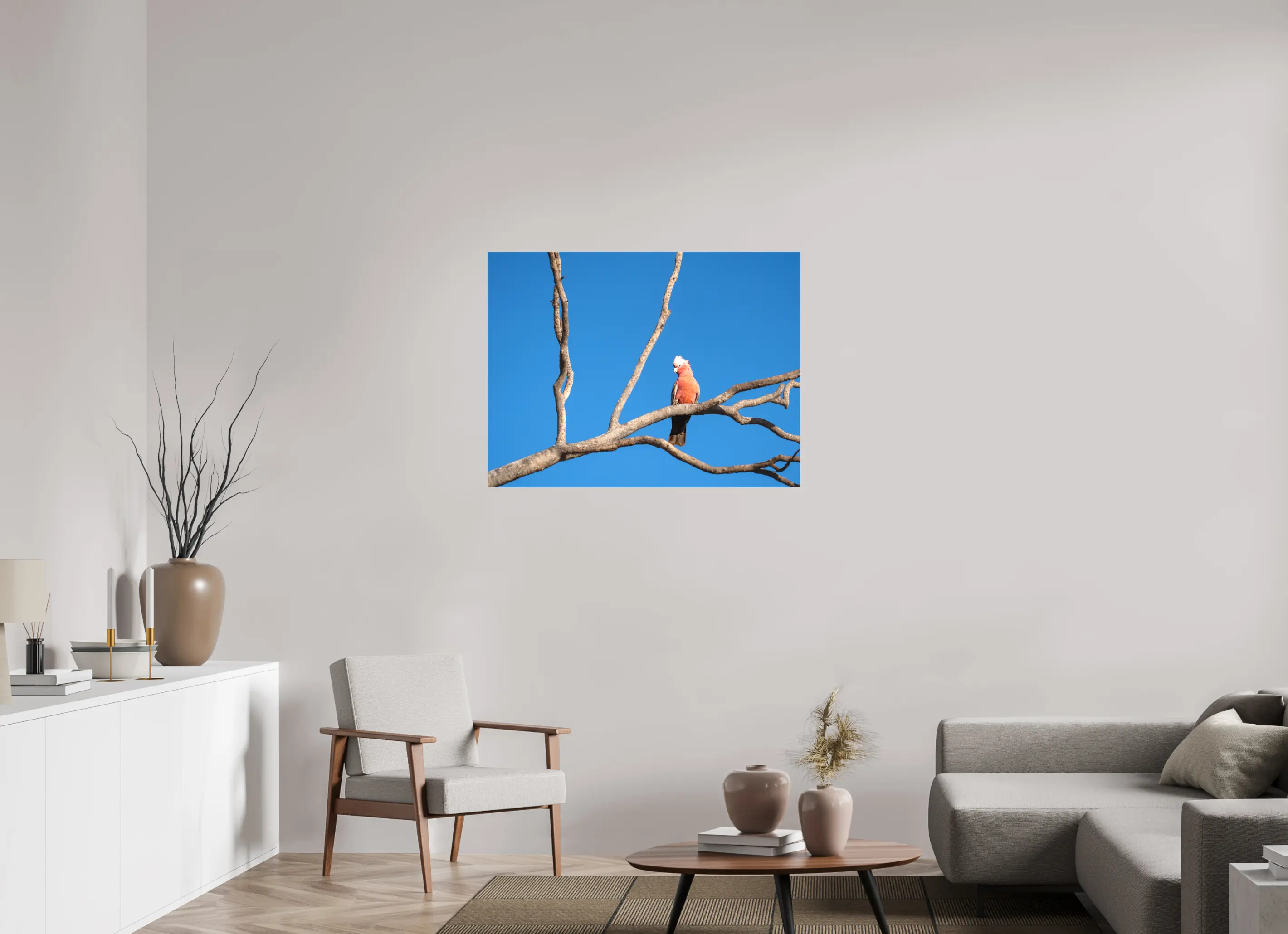 Fine art print “Pause” featuring a Galah perched on a bare tree branch under a clear blue Australian sky, displayed on a premium canvas print in a modern living room setting.