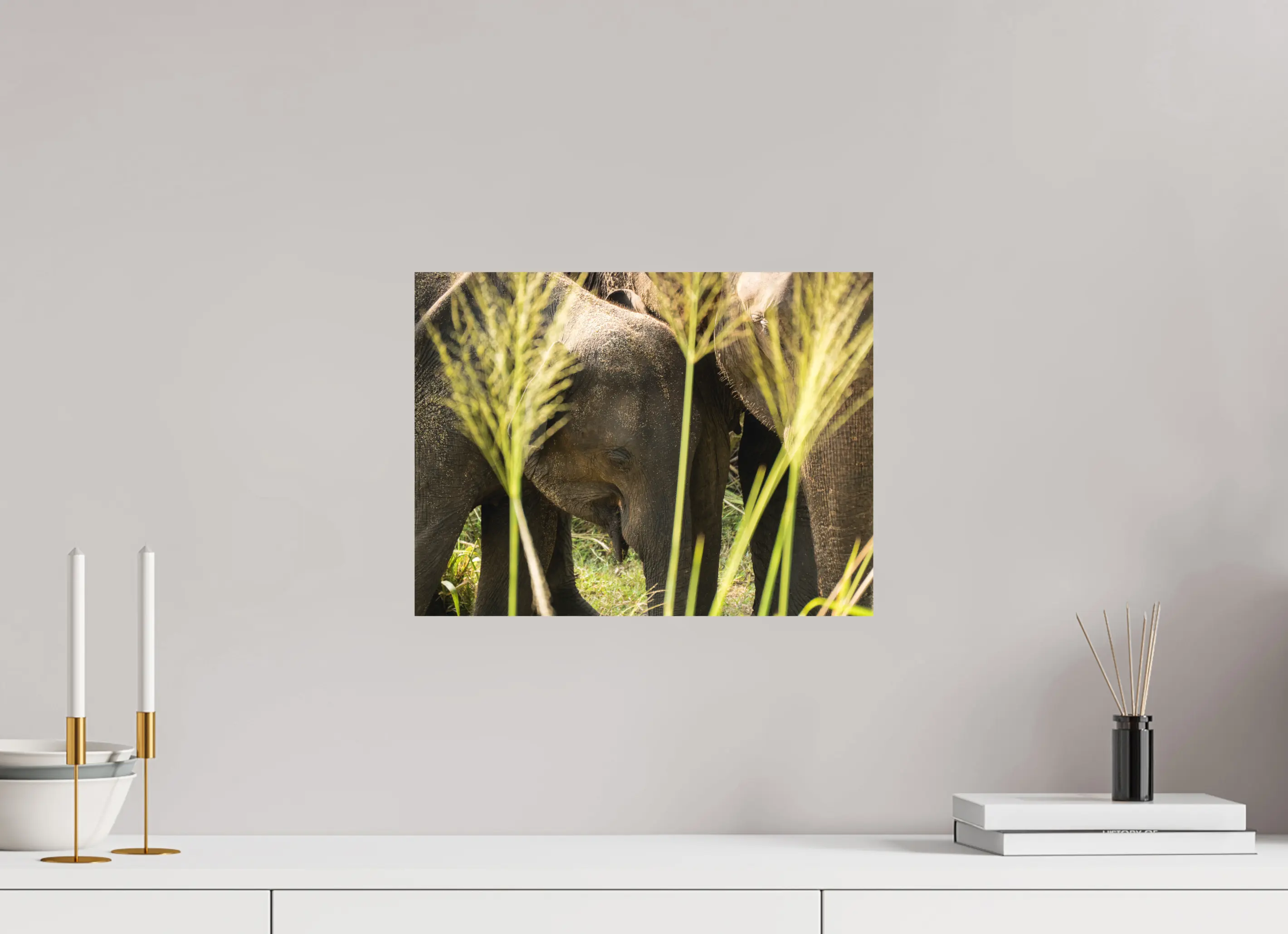Fine art print “Protection of the Herd” featuring a group of Asian elephants huddled closely together in the tall grasslands of Sri Lanka, displayed on aluminium dibond in a modern living room setting.