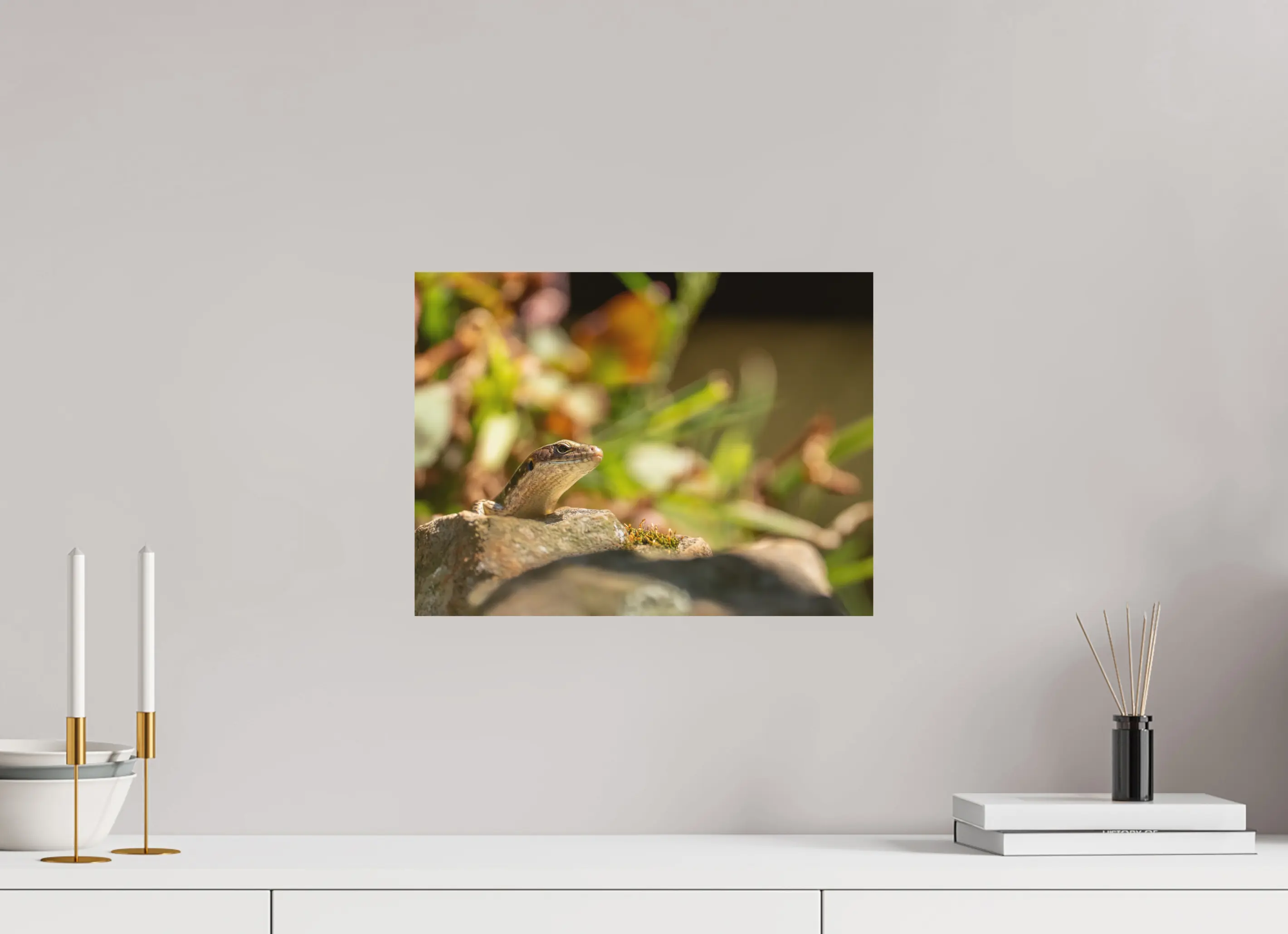 Fine art print “Rest” featuring a Lizard basking in the sunlight on a warm rock surrounded by soft blurred greenery, displayed on aluminium dibond in a modern living room setting.