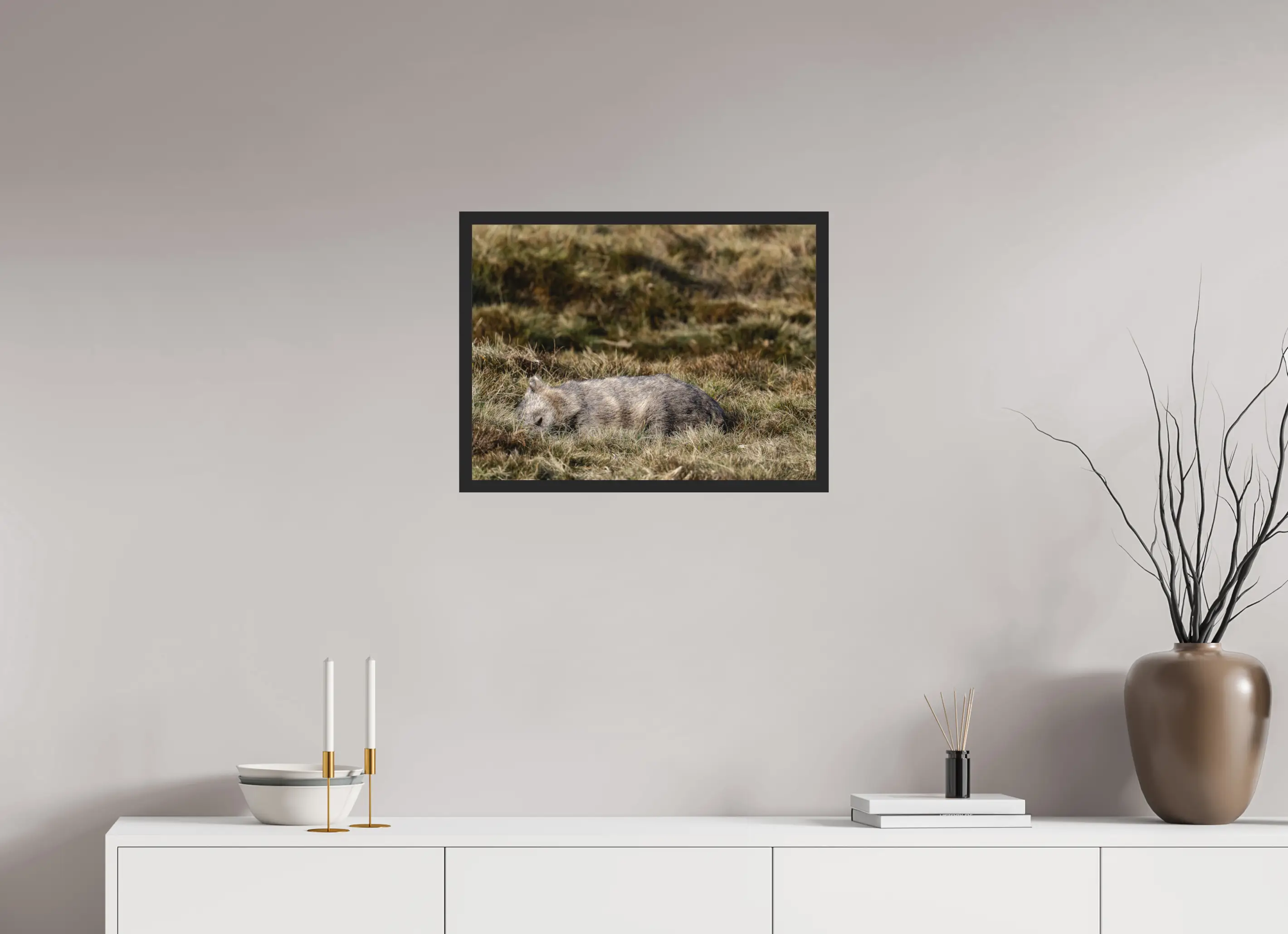 Fine art print “Resting Little Giant” featuring a wombat sleeping peacefully in dry alpine grasslands of Tasmania, displayed classic framed in a modern living room setting.
