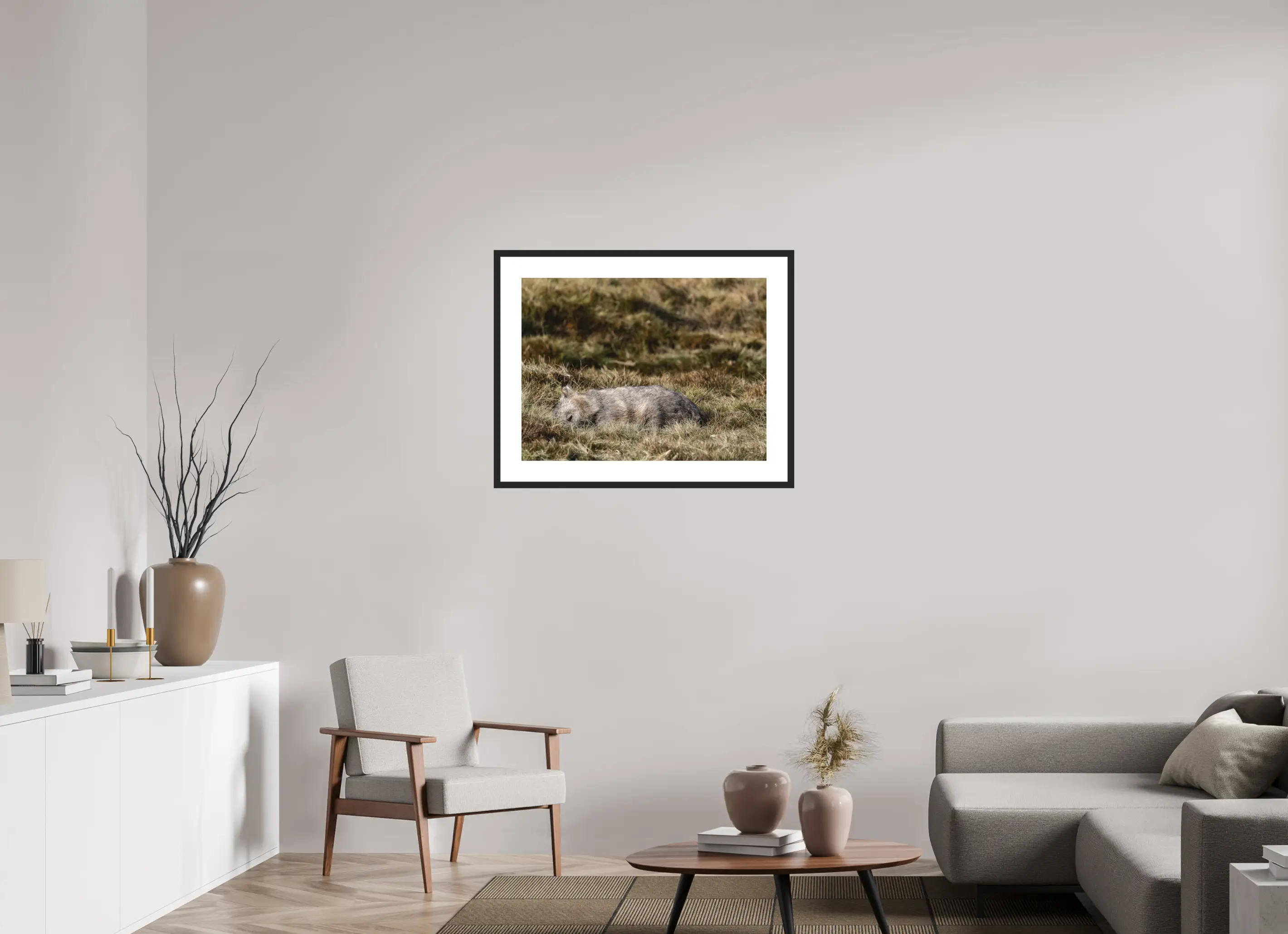 Fine art print “Resting Little Giant” featuring a wombat sleeping peacefully in dry alpine grasslands of Tasmania, displayed in a passepartout frame in a modern living room setting.
