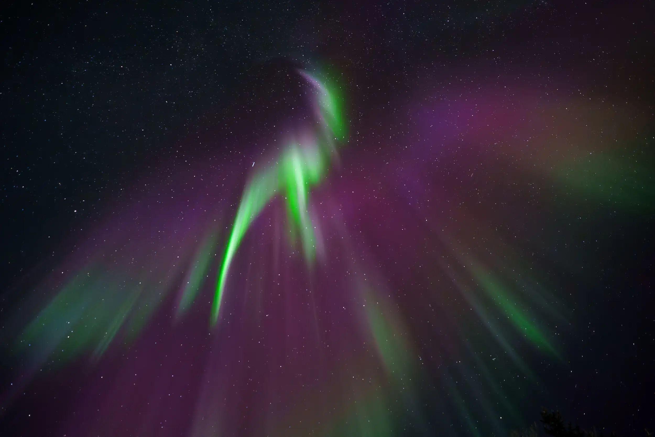Fine Art Photography Print of Aurora Borealis in Shape of Phoenix.
