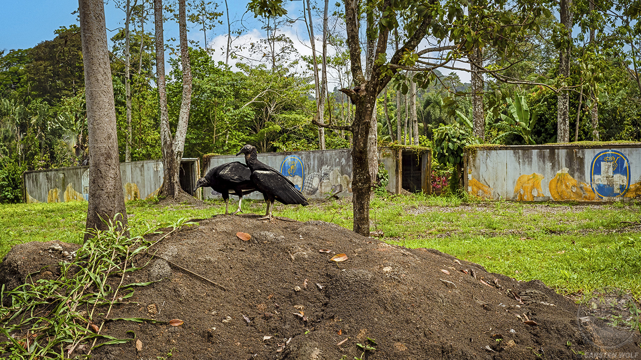 [CR.012] Cahuita | Costa Rica