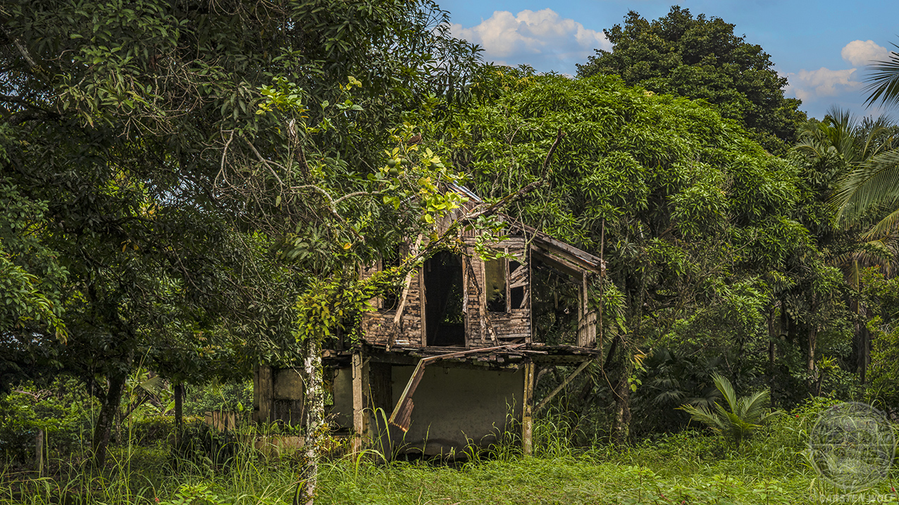 [CR.009] Limon | Costa Rica