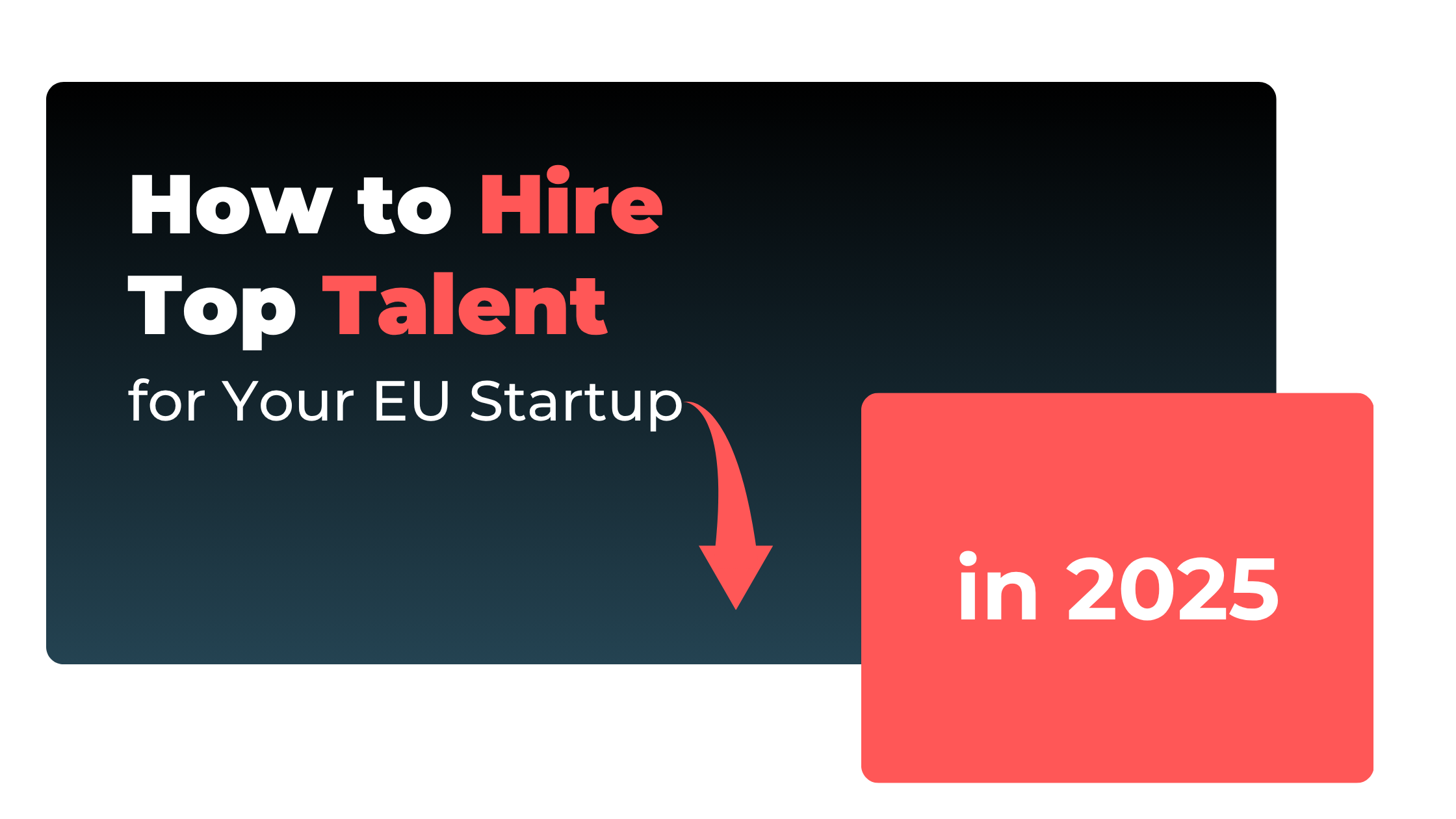 Talent for Your EU Startup