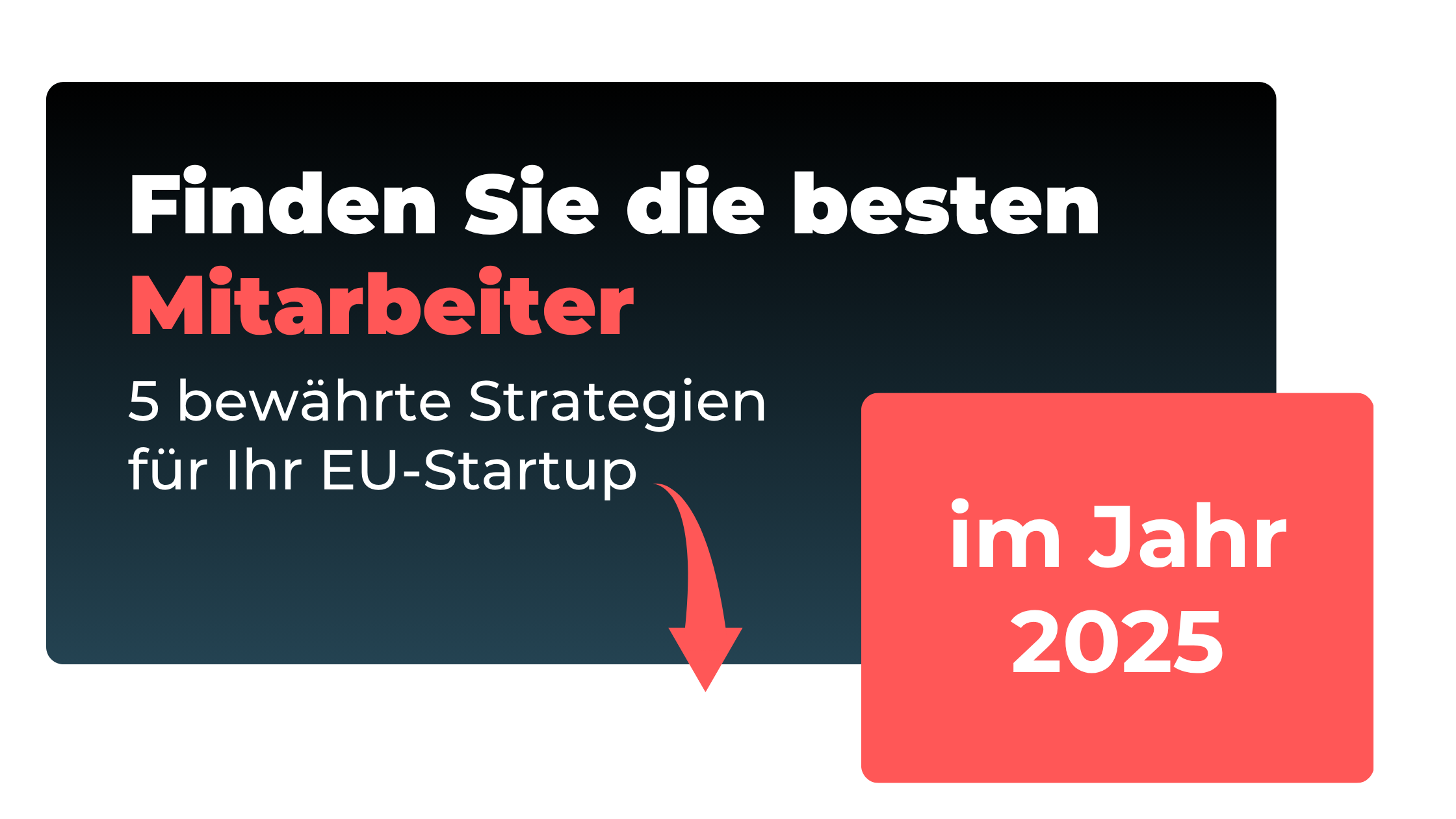 5 bewährte Strategien: So finden Sie die besten Mitarbeiter für Ihr EU-Startup