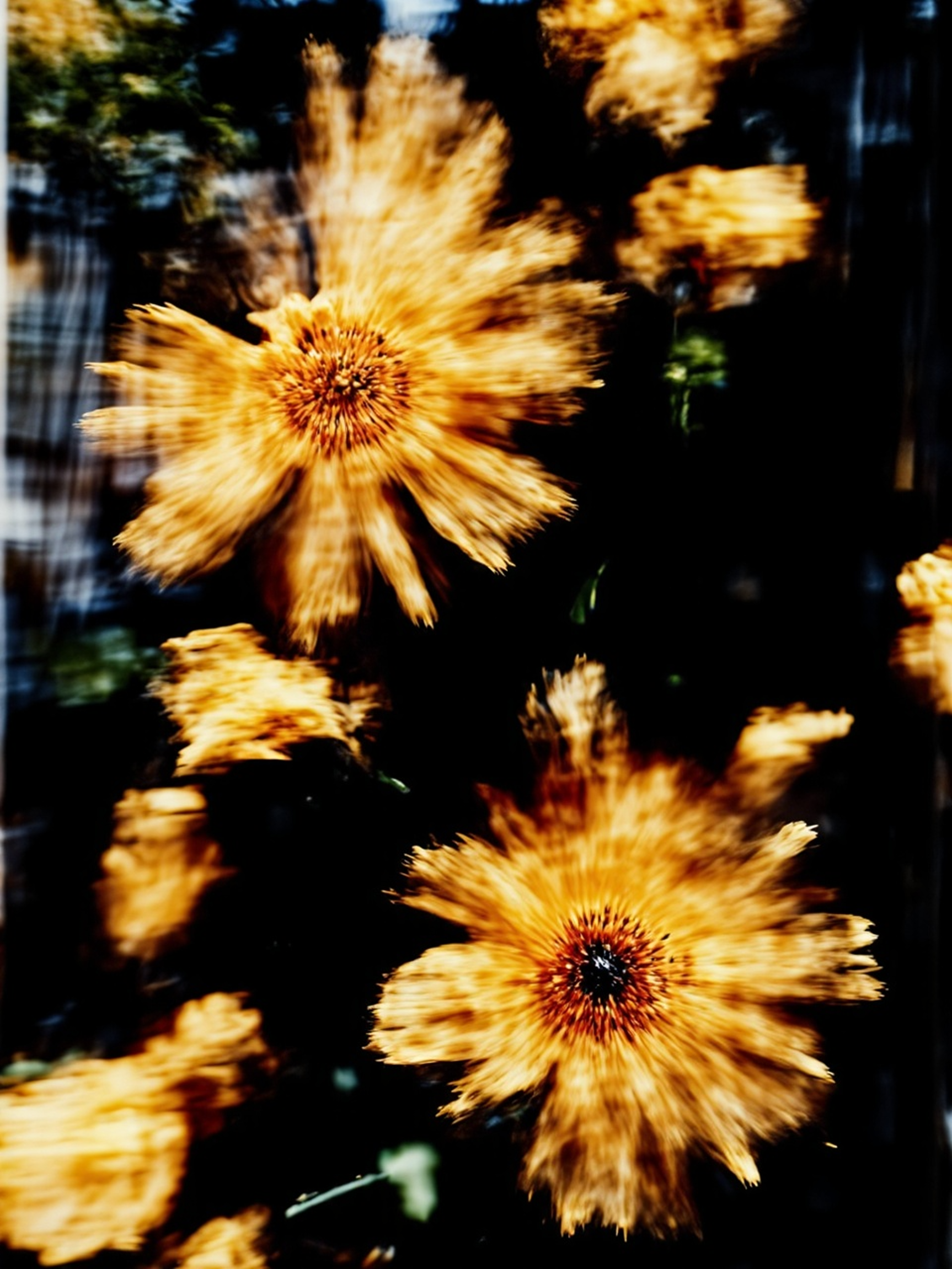 AI-generated creative work sample — Andlouise-THELMA-HAMLET