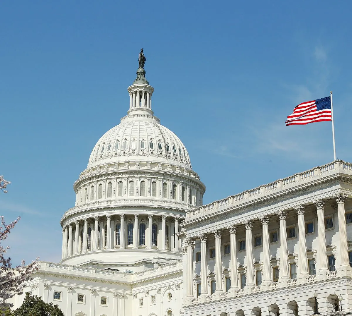 U.S. Capitol building and American flag representing federal immigration policy and employer compliance law