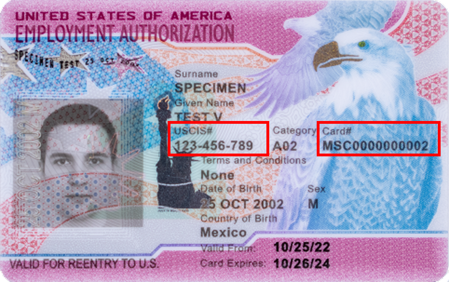 Front of an Employment Authorization Document (Form I-766 / EAD) with the A-Number (USCIS#) and Card Number both highlighted on the front of the card.