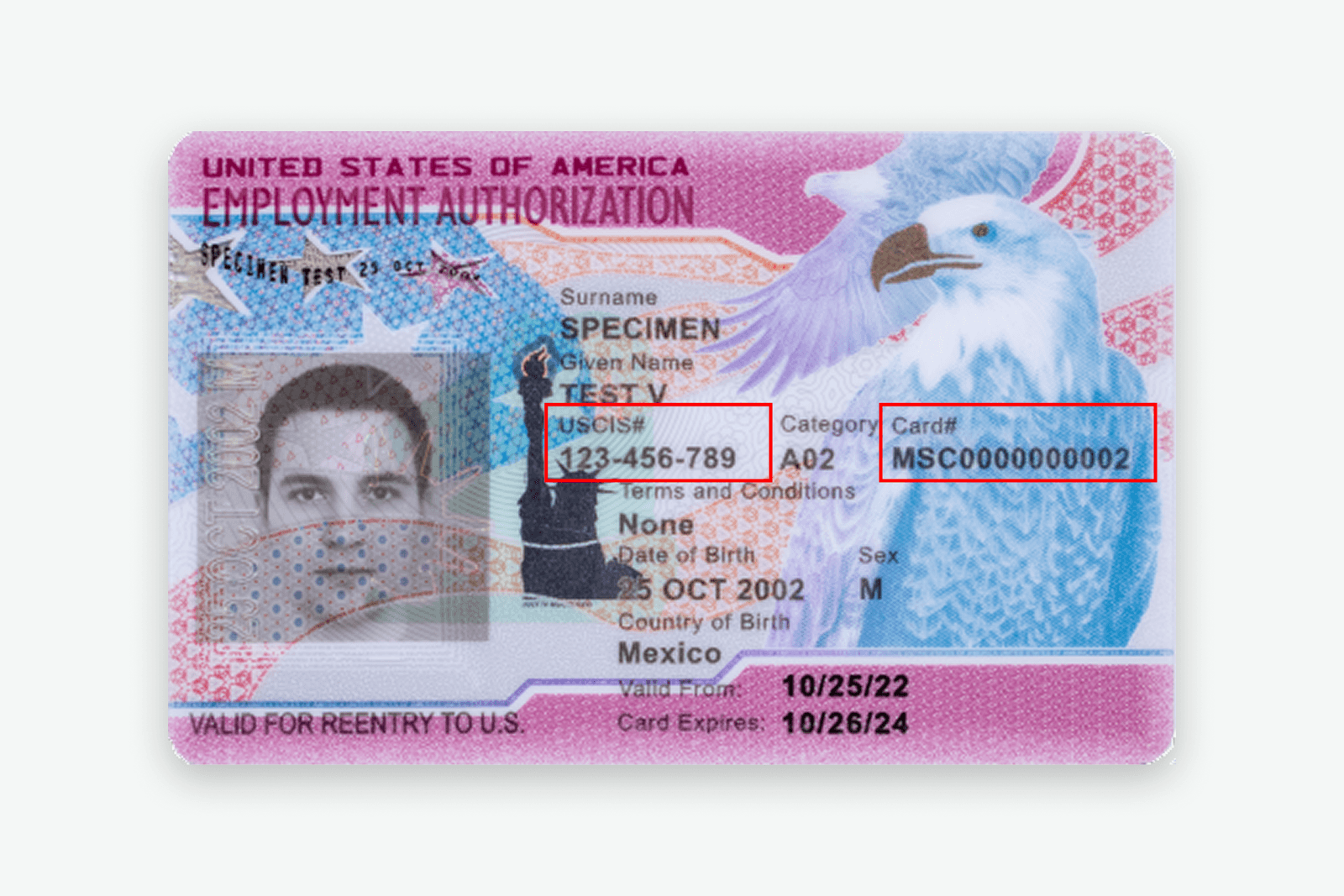 EAD Card: What It Is and How It Works on Form I-9