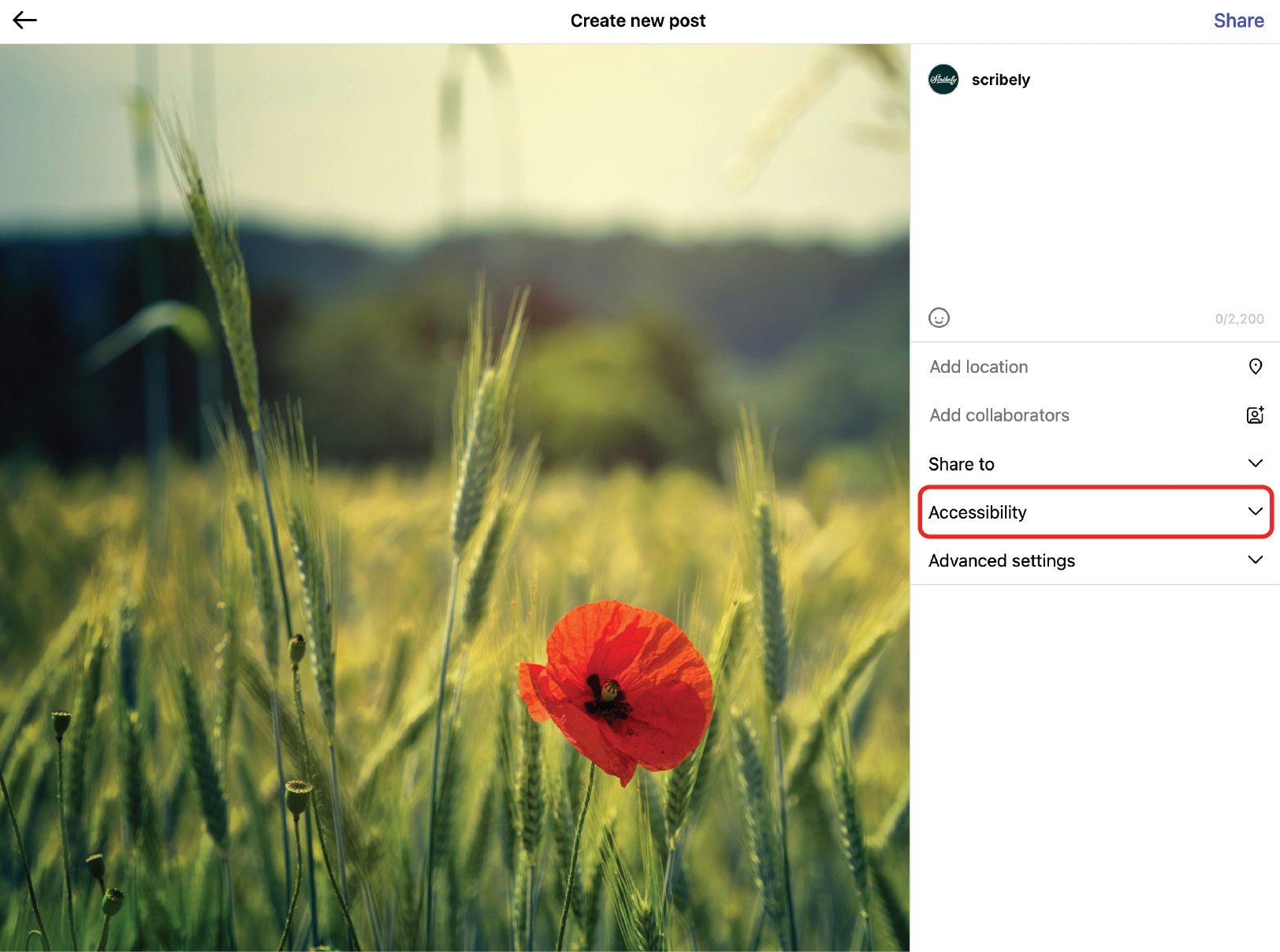 A screenshot of the Instagram "Create new post" screen. On the left, there is a preview of an image featuring a single, vibrant red poppy in a sunlit field of green and yellow wheat. On the right, under the post settings, the "Accessibility" menu is highlighted with a red rectangle, showing the user where to find the option to add alt text.