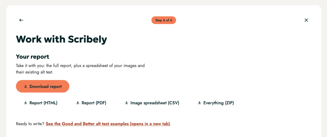 Screenshot of the Download Report page from Scribely's Context Engine for Alt Text. Text at the top reads "Work with Scribely," with an orange button below that lets users download their report as an HTML, PDF, CSV, or ZIP file. The full report includes a spreadsheet of the images and their existing alt text.