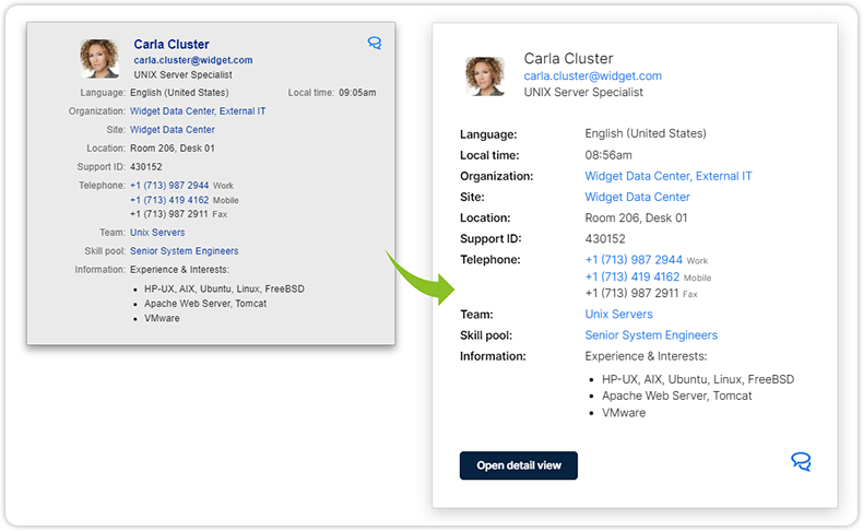 Update interface preview person record