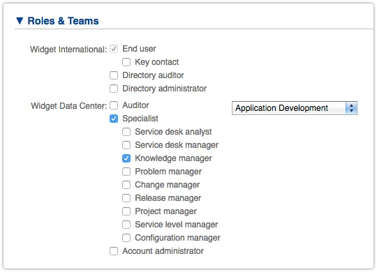 Knowledge Manager role in 4me Person form.png