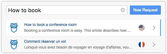 Knowledge article in language of account