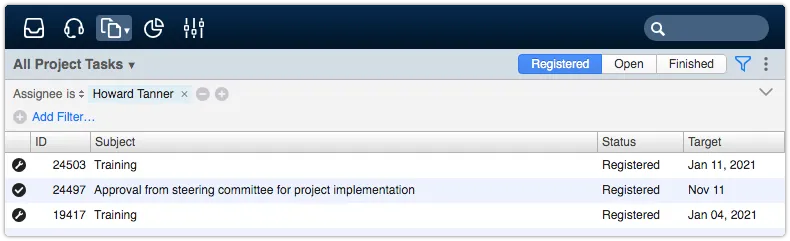 Project tasks view filtered by assignee