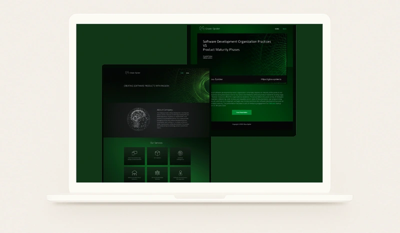 Simple website design for a software development company – clear, minimal and functional.