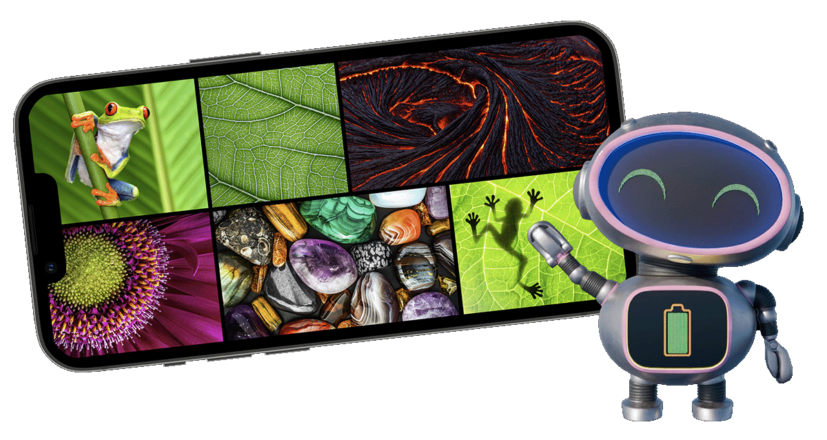 A screenshot of the Adventures with ELI app
