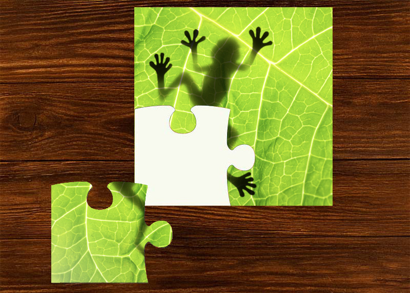 A screenshot of the puzzle feature of the Adventures with ELI app