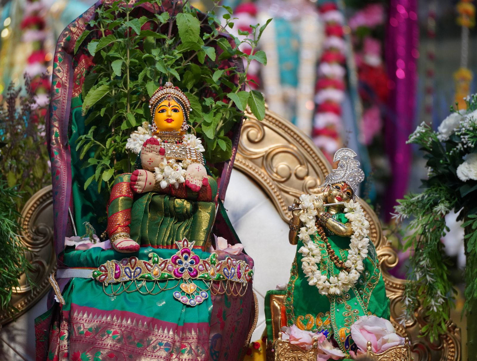 Tulsi Vivah ceremony at Radha Krishna Temple of Dallas