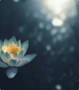 Yoga Image