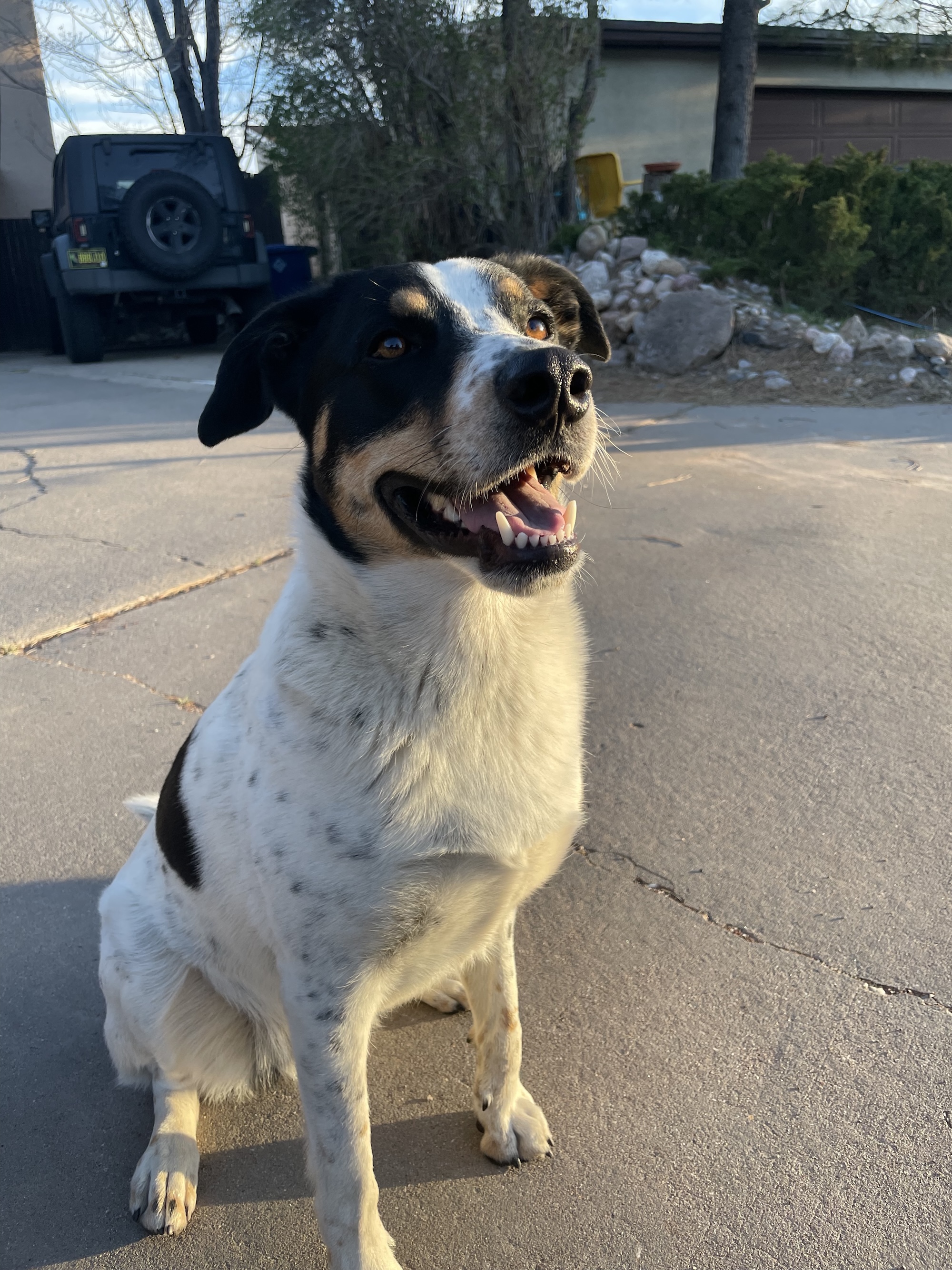 Moving in together in Los Alamos - photo 1