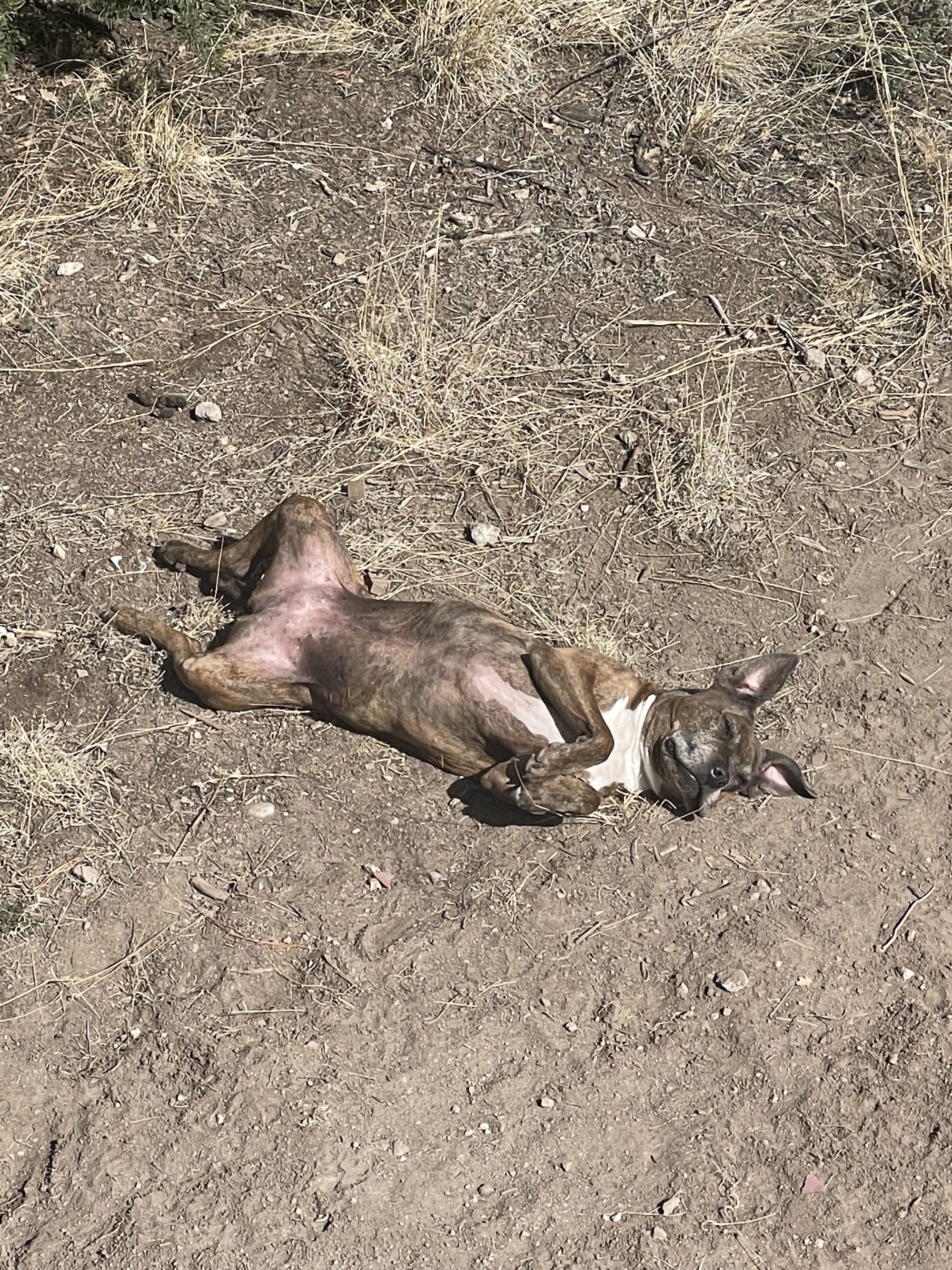 Moving in together in Los Alamos - photo 2