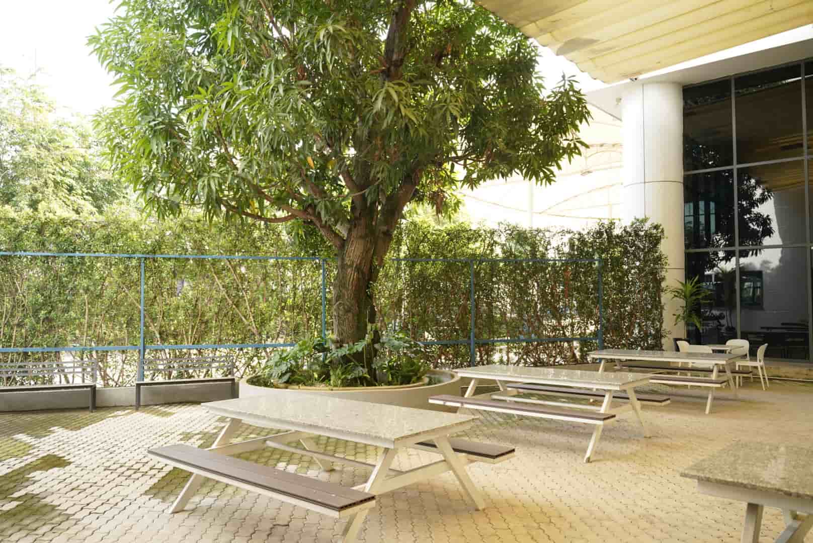 The American School (TAS) - trường quốc tế tốt nhất TP.HCM