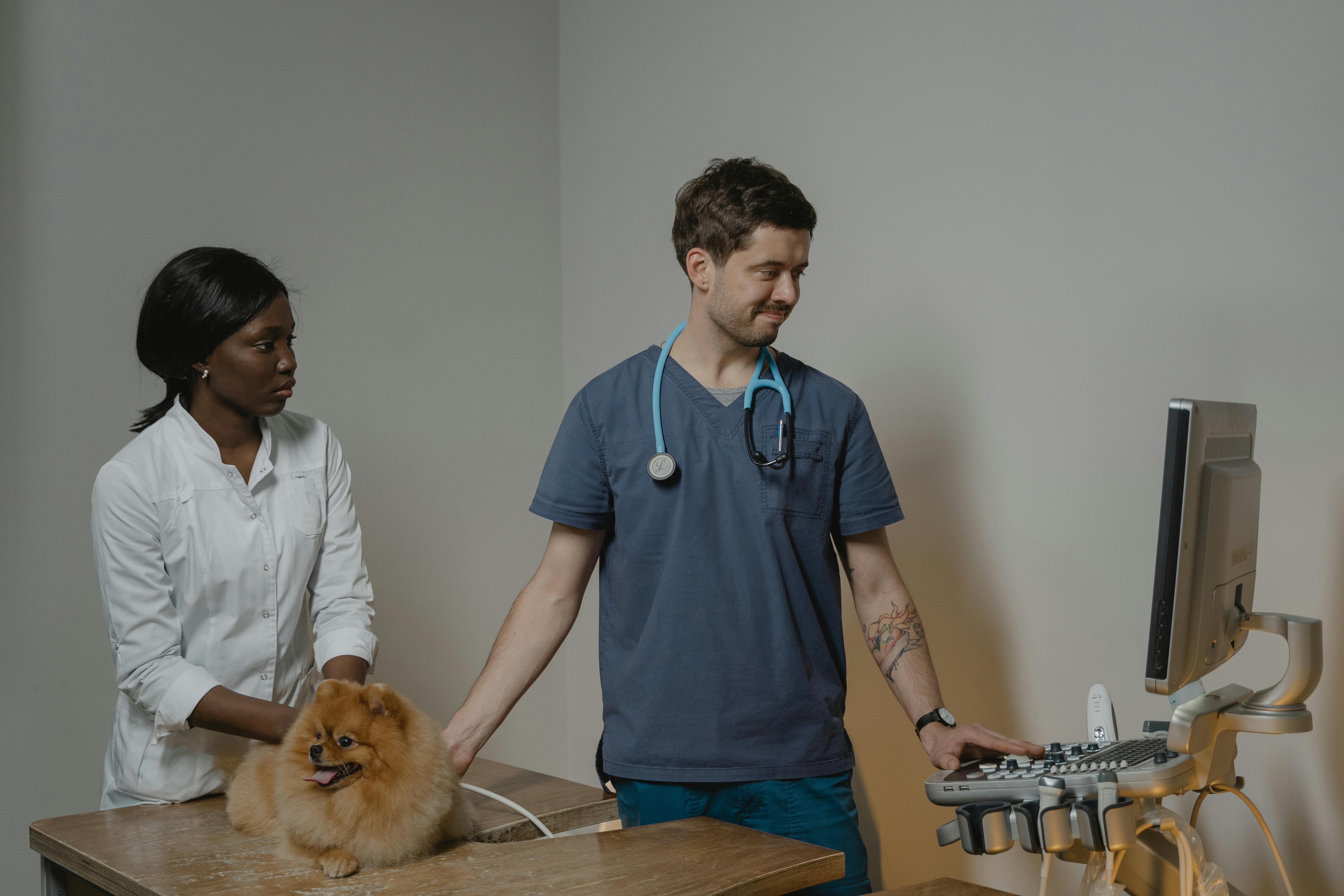 Illustration for: Veterinary Clinics Are Eating Healthcare's Lunch in Talent Acquisition