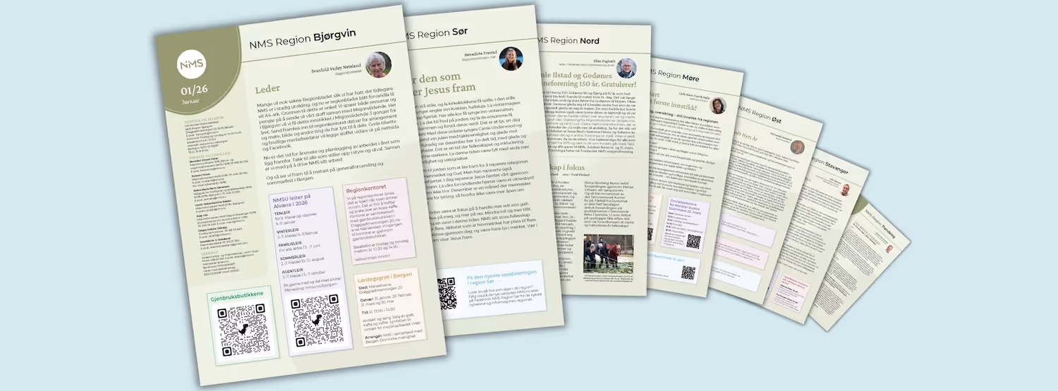 Bildet viser en collage bestående av regioninnstikk fra NMS