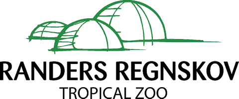 Randers Regnskov