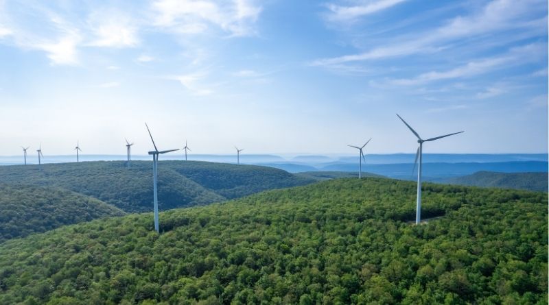 Ventajas de contratar una tarifa eléctrica con certificación de energía verde