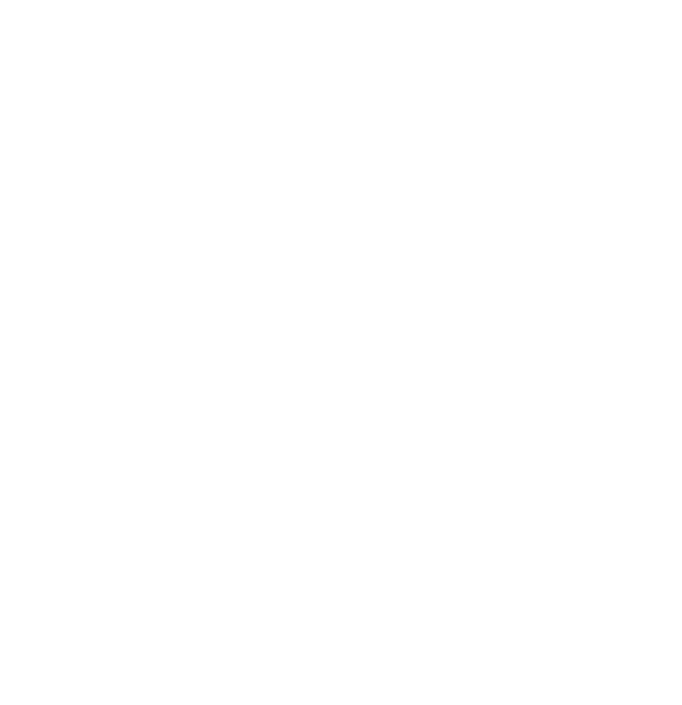 AISME logotype white