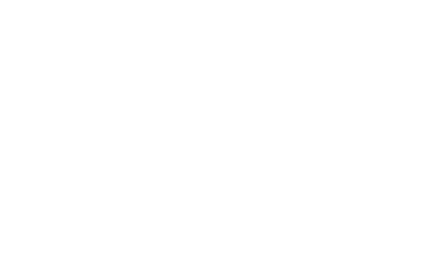 Protocol logo