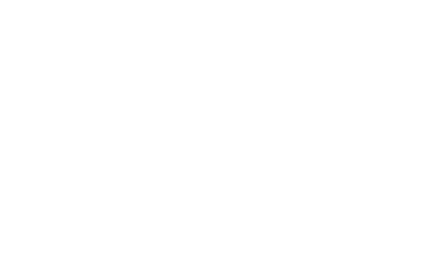 No LImit logo